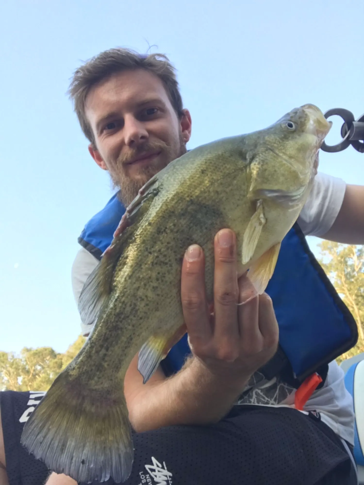 Post image from Doc-Yarrum