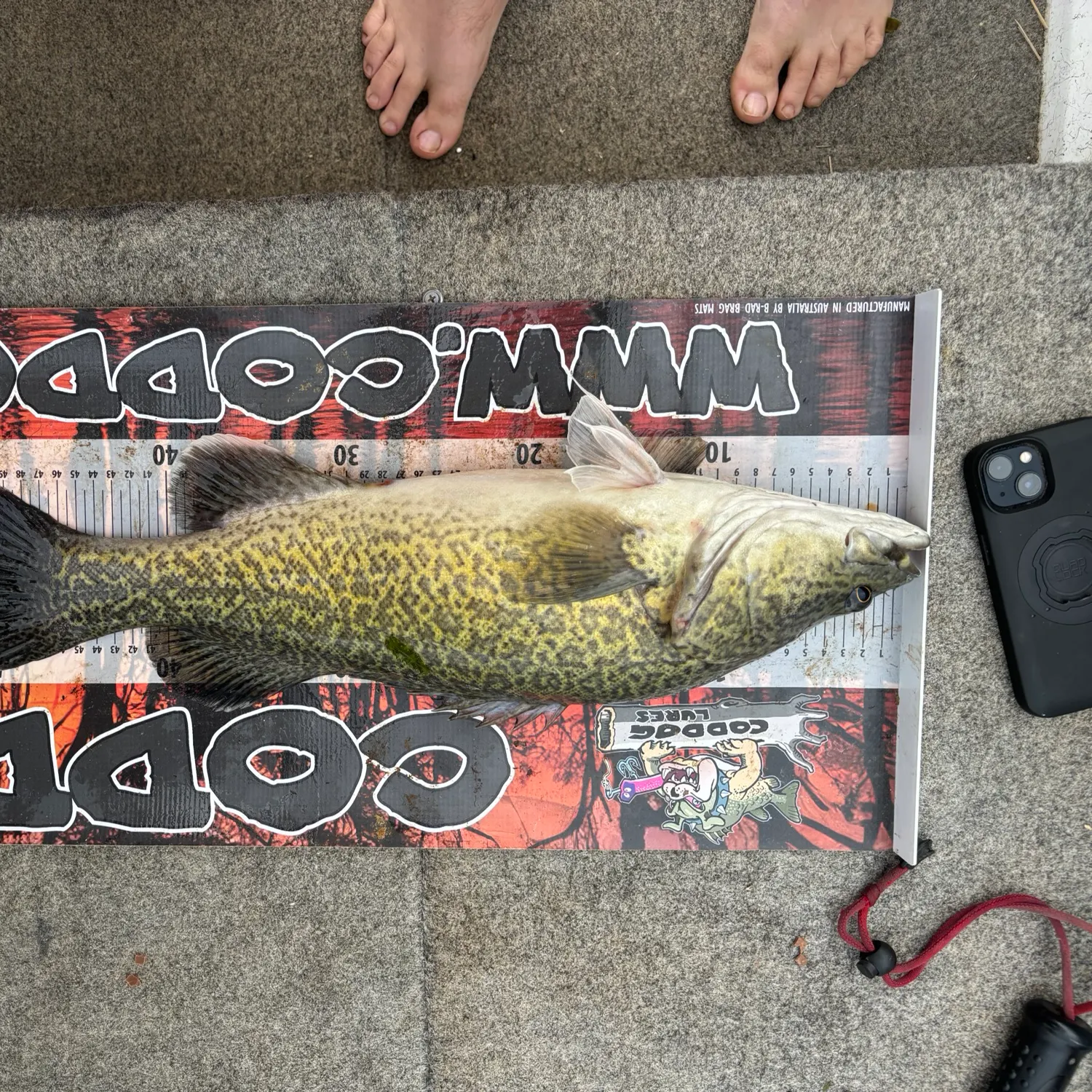 recently logged catches