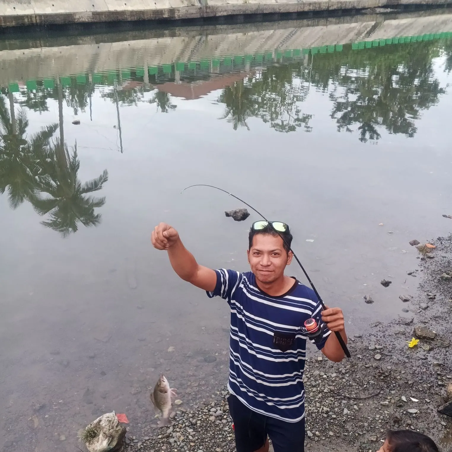 The most recent Mangrove red snapper catches on Fishbrain