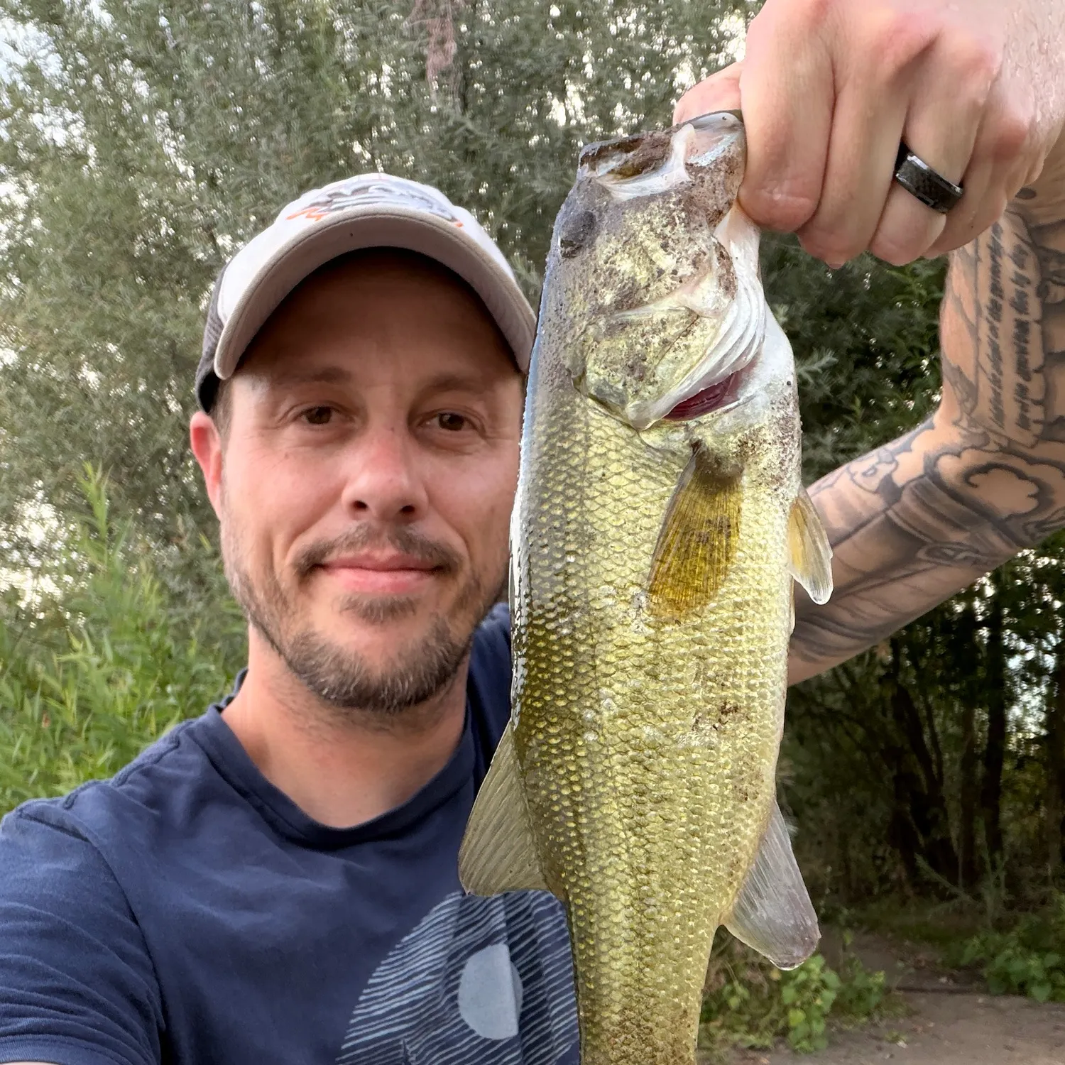 Largemouth bass caught on Fishbrain
