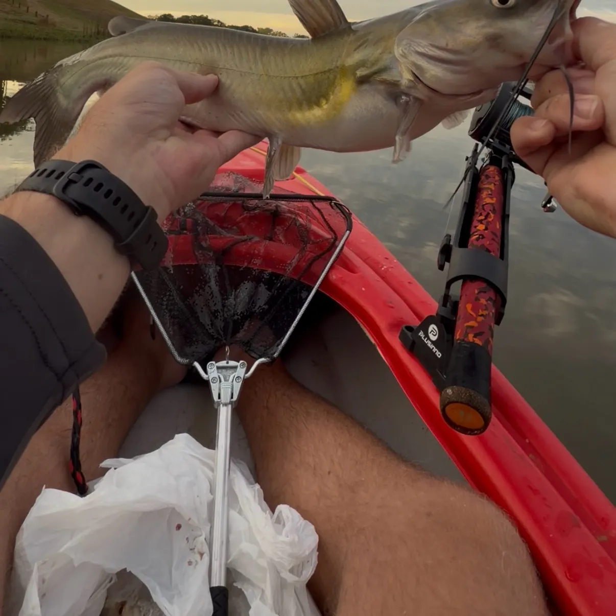 catch