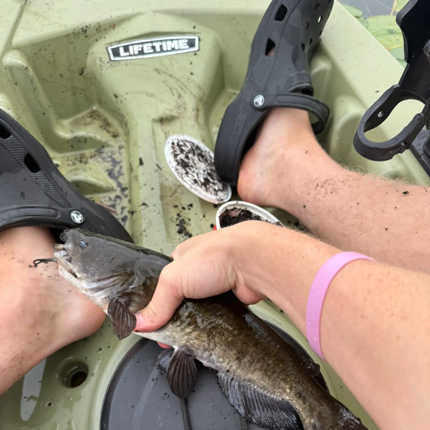 Black bullhead caught on Fishbrain