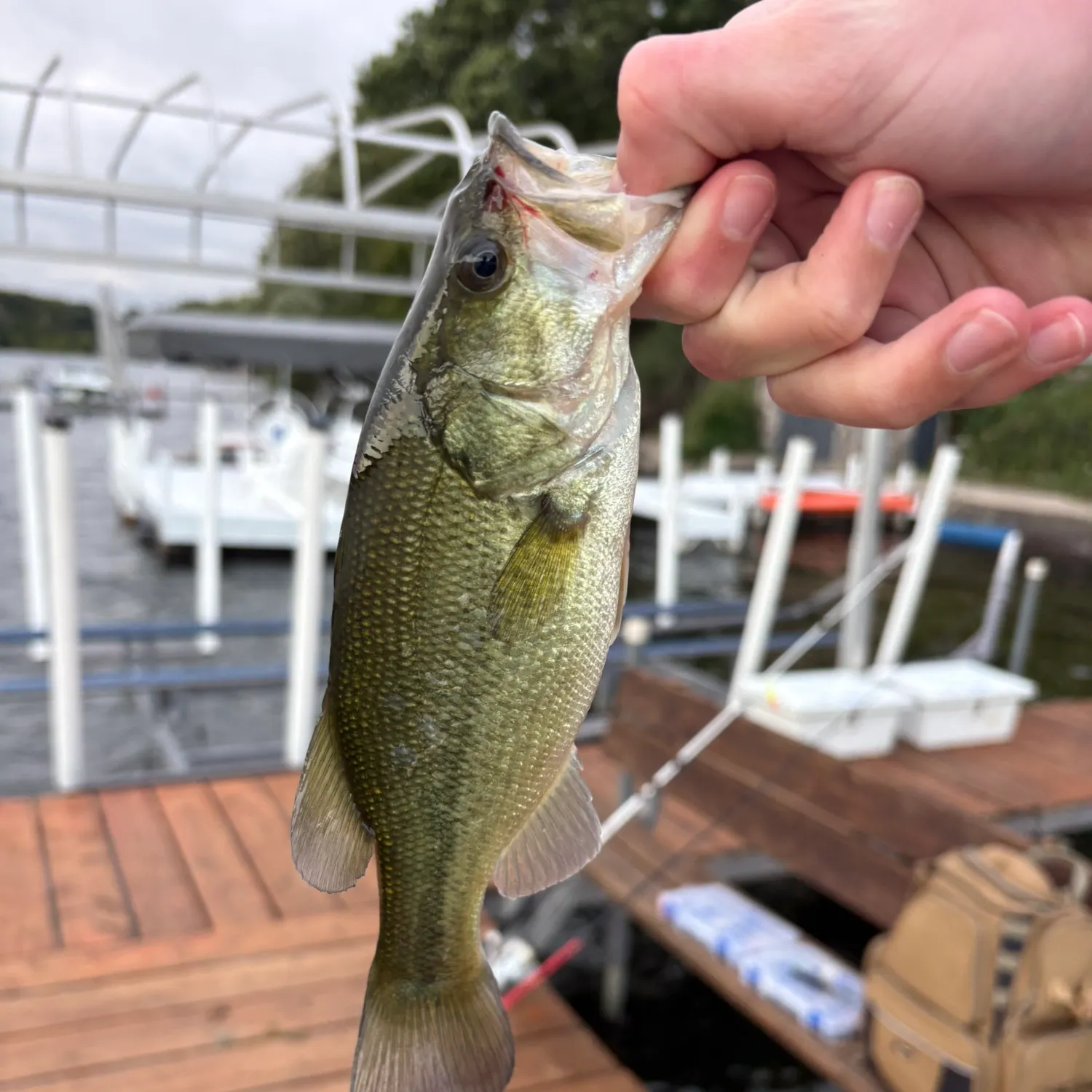catch