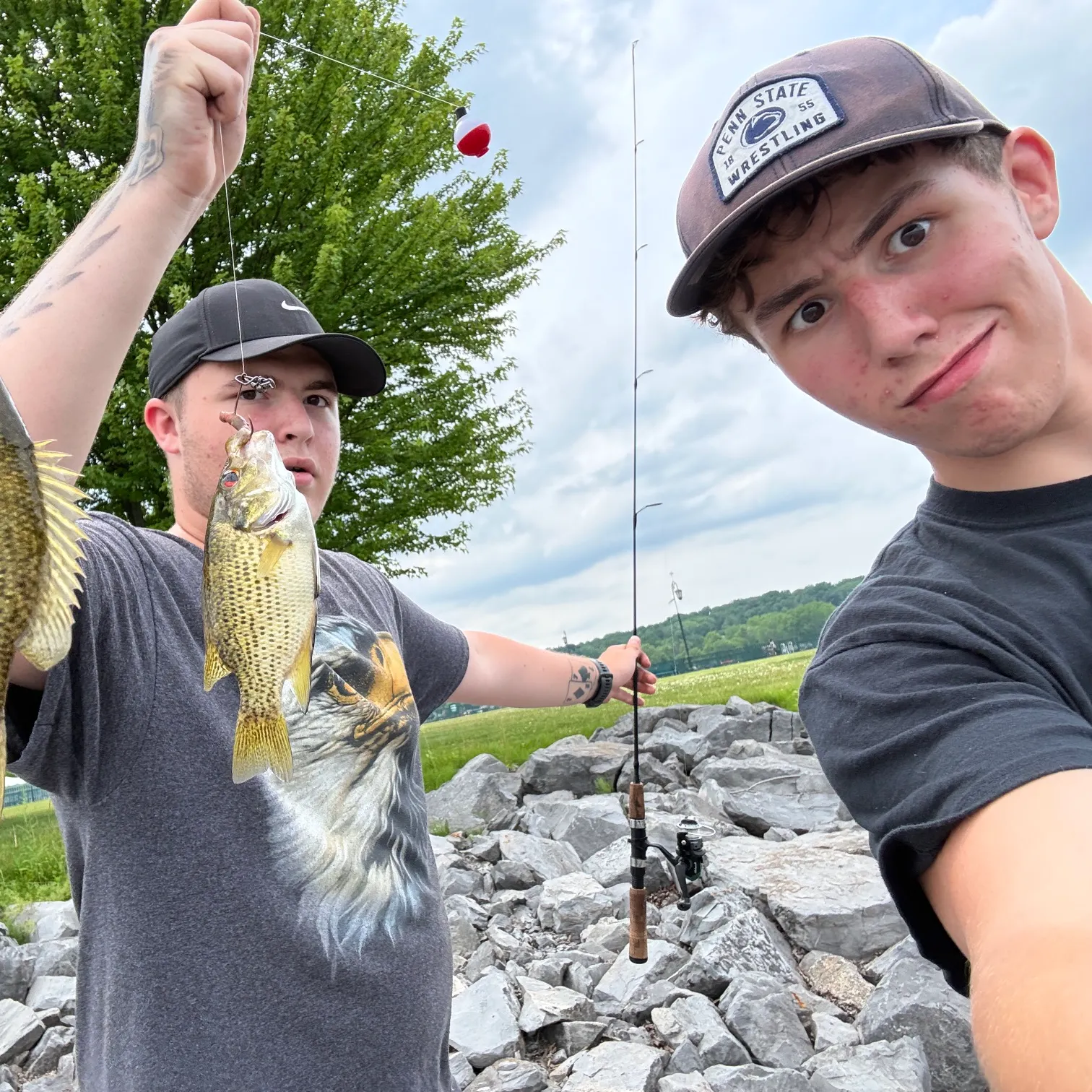 recently logged catches