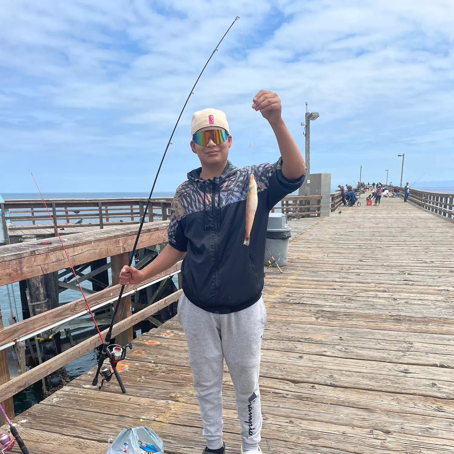 The most recent Yellowcheek wrasse catches on Fishbrain