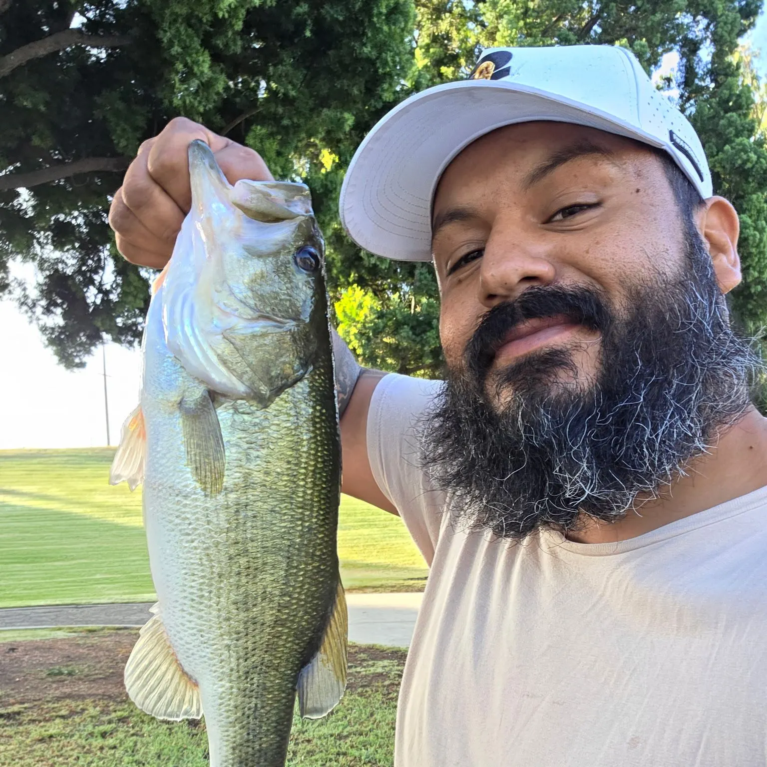 Spotted bass caught on Fishbrain