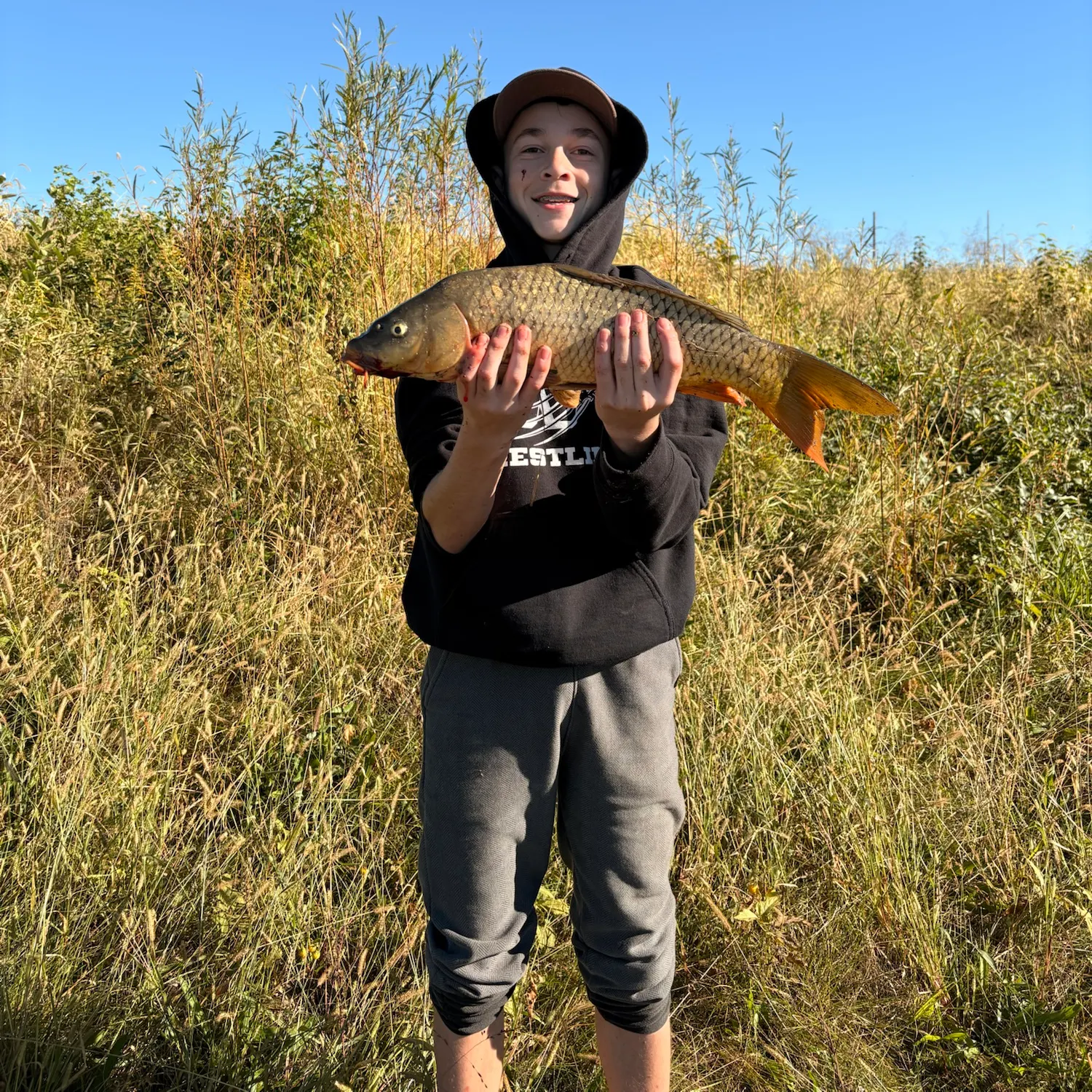 Common carp caught on Fishbrain