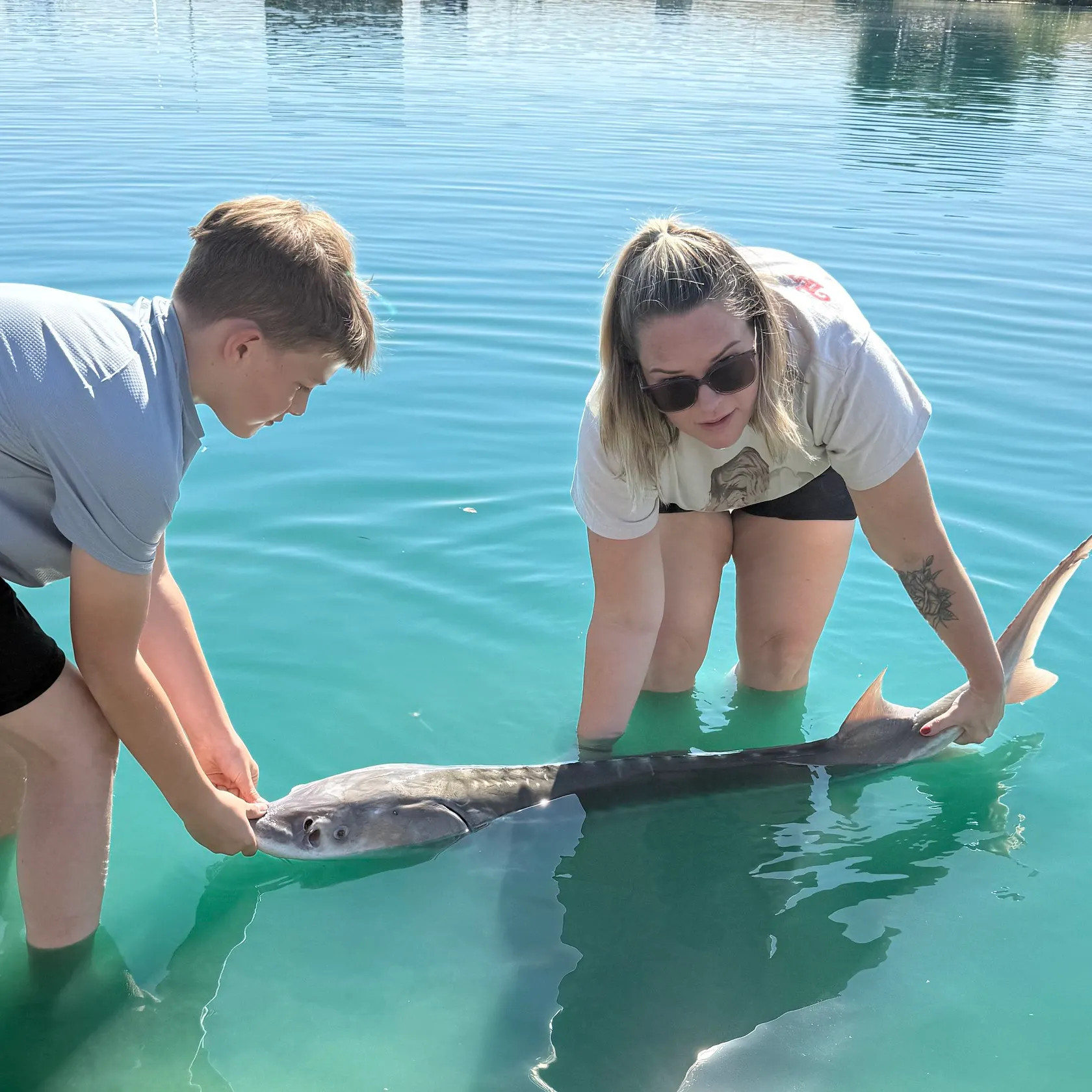 The most recent White sturgeon catches on Fishbrain