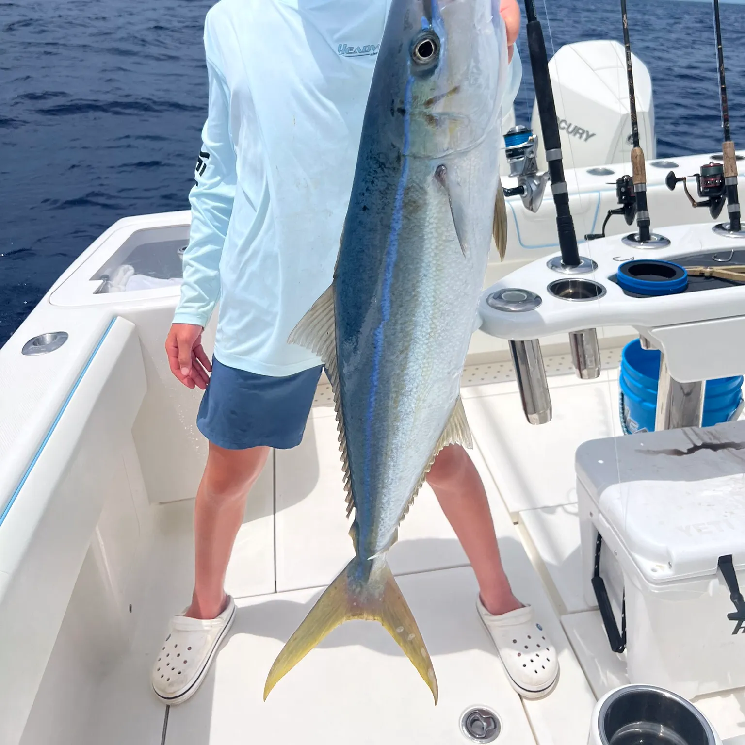 The most recent Rainbow runner catches on Fishbrain