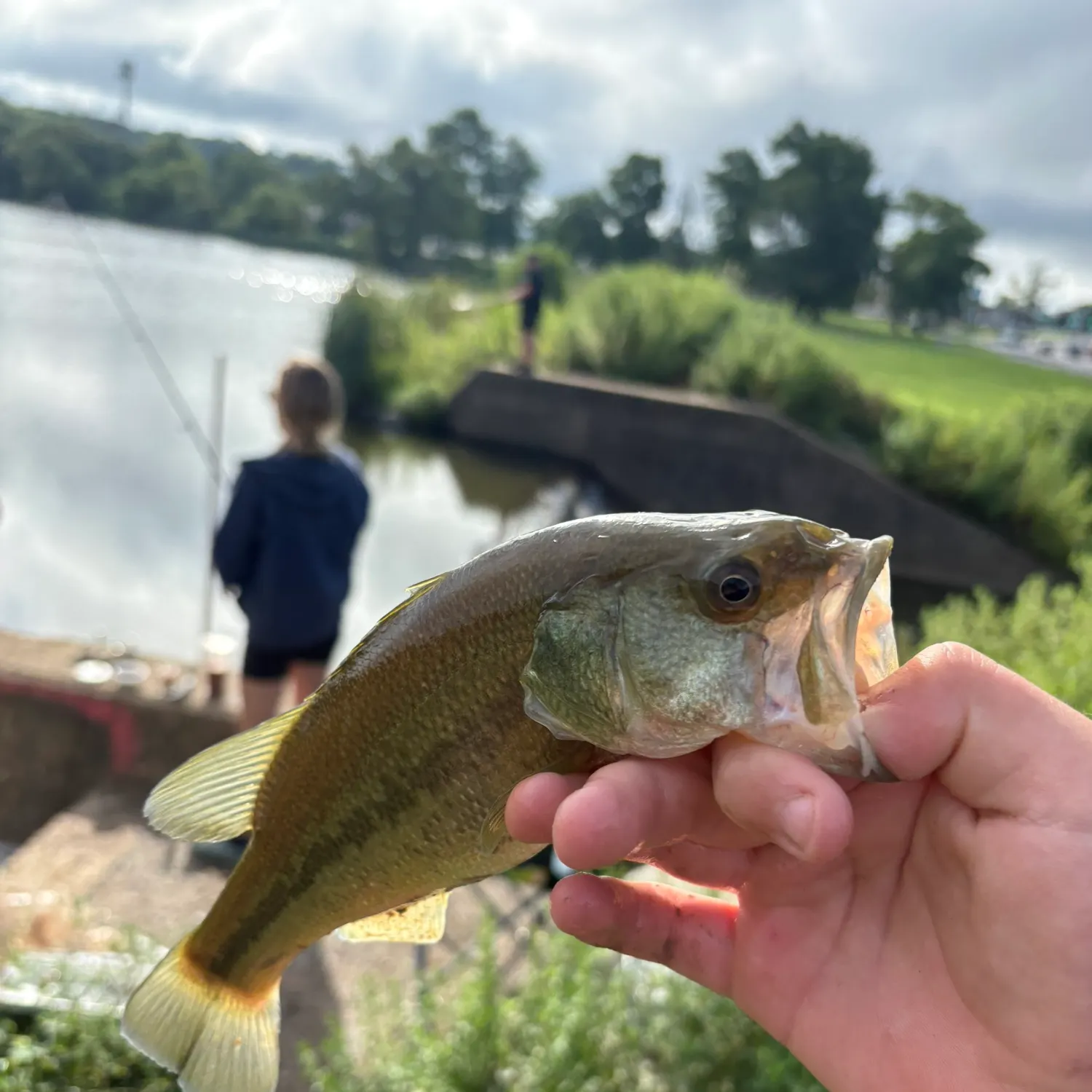 catch