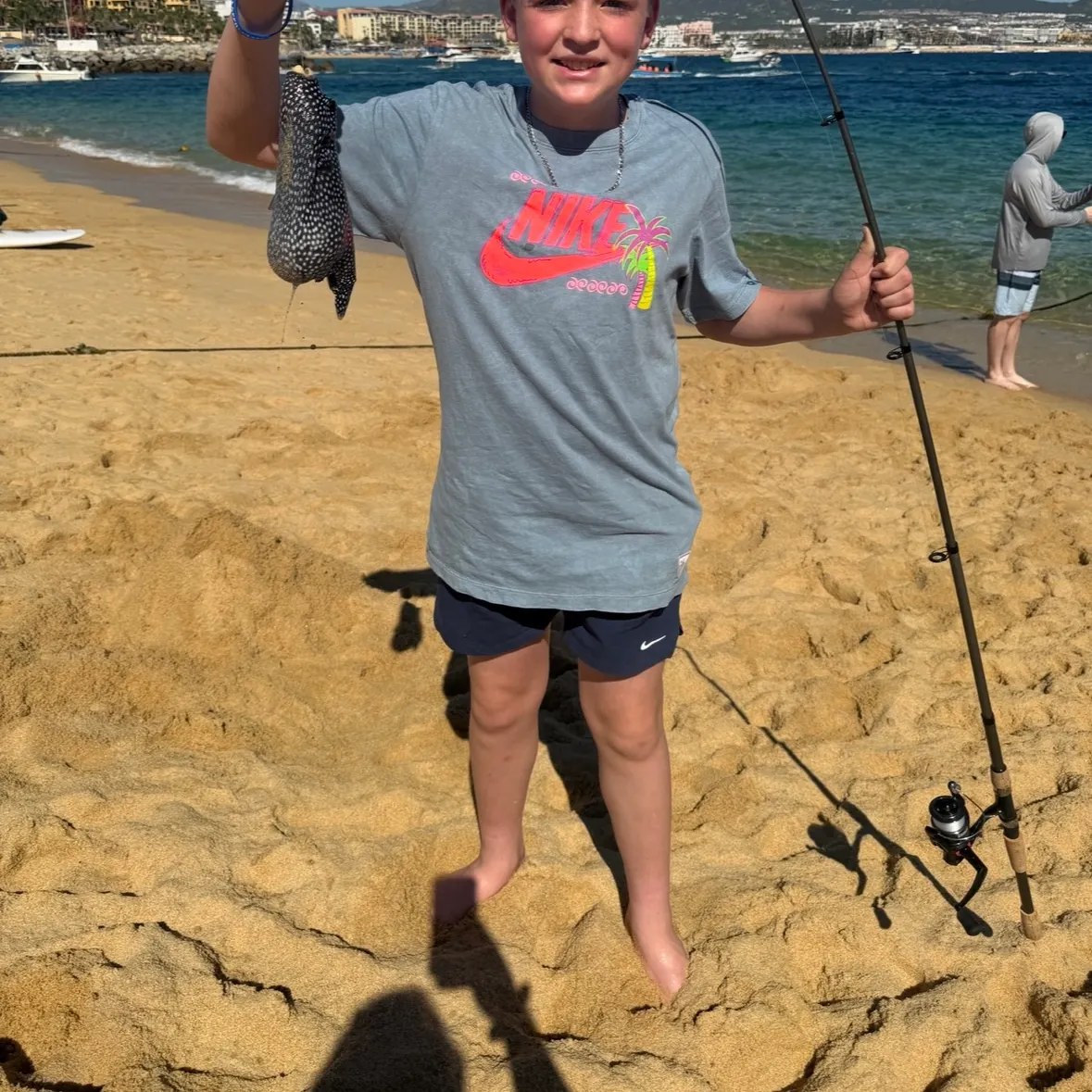 The most recent Spot-fin porcupinefish catches on Fishbrain