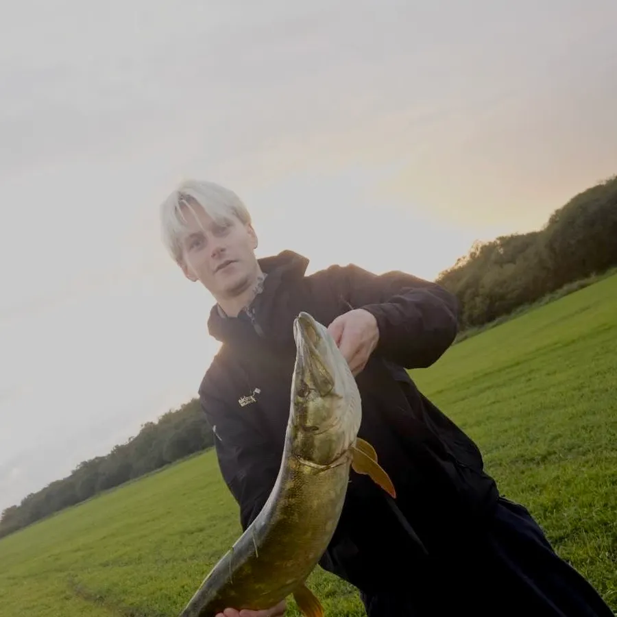 Northern pike caught on Fishbrain