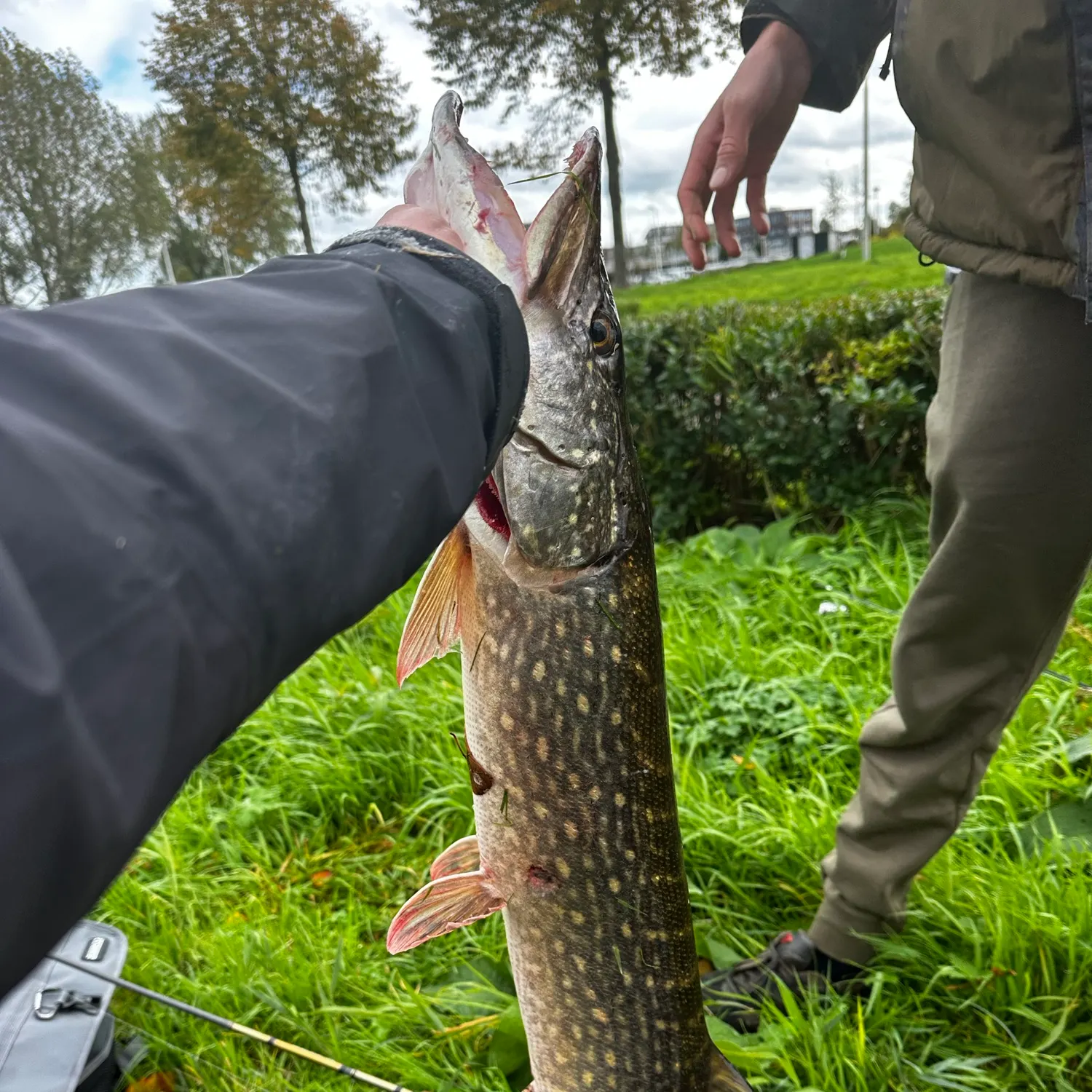 catch