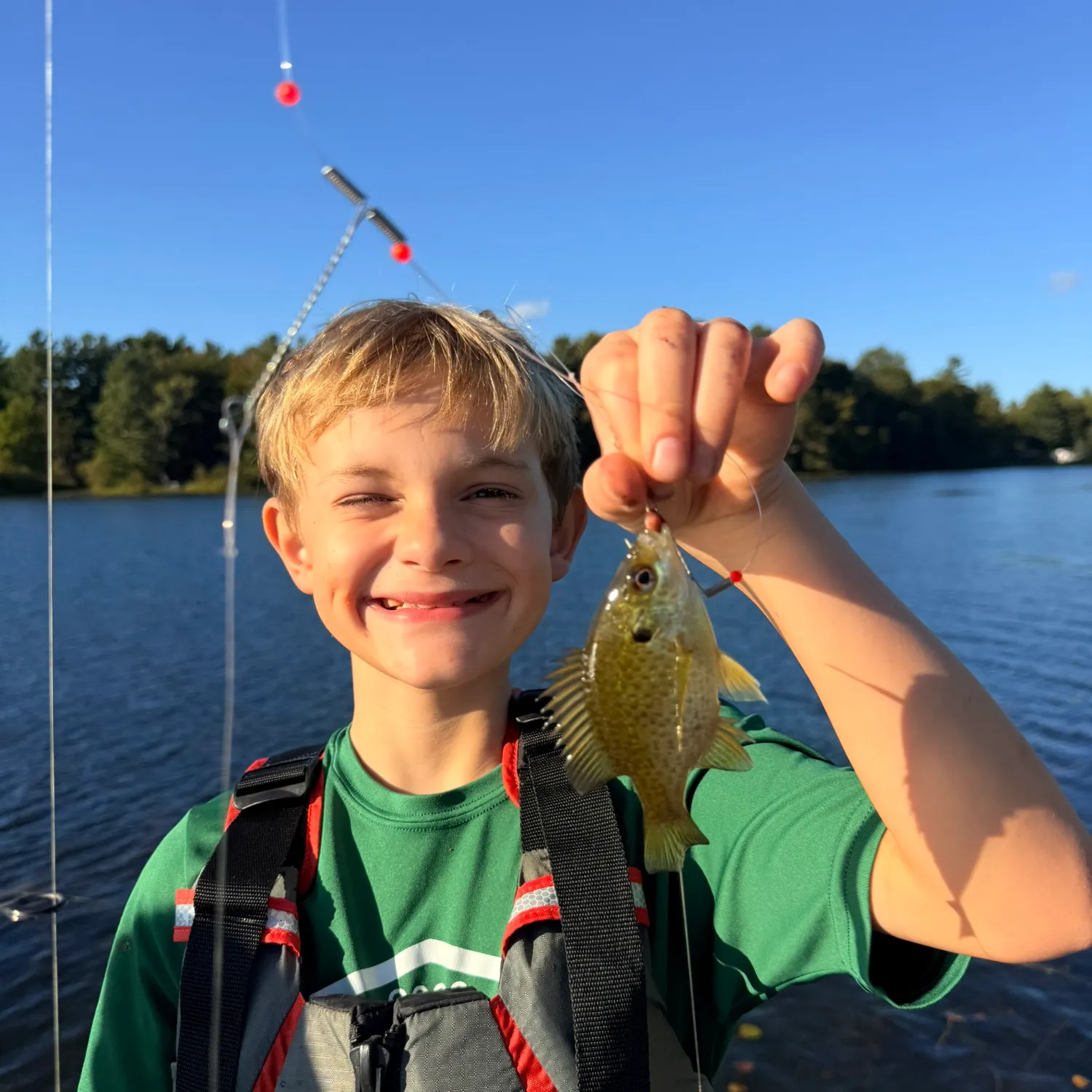 Bluegill caught on Fishbrain
