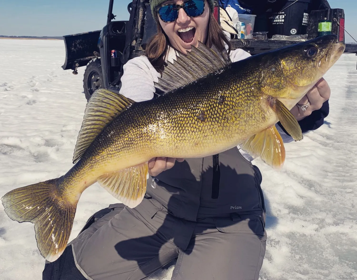 Walleye