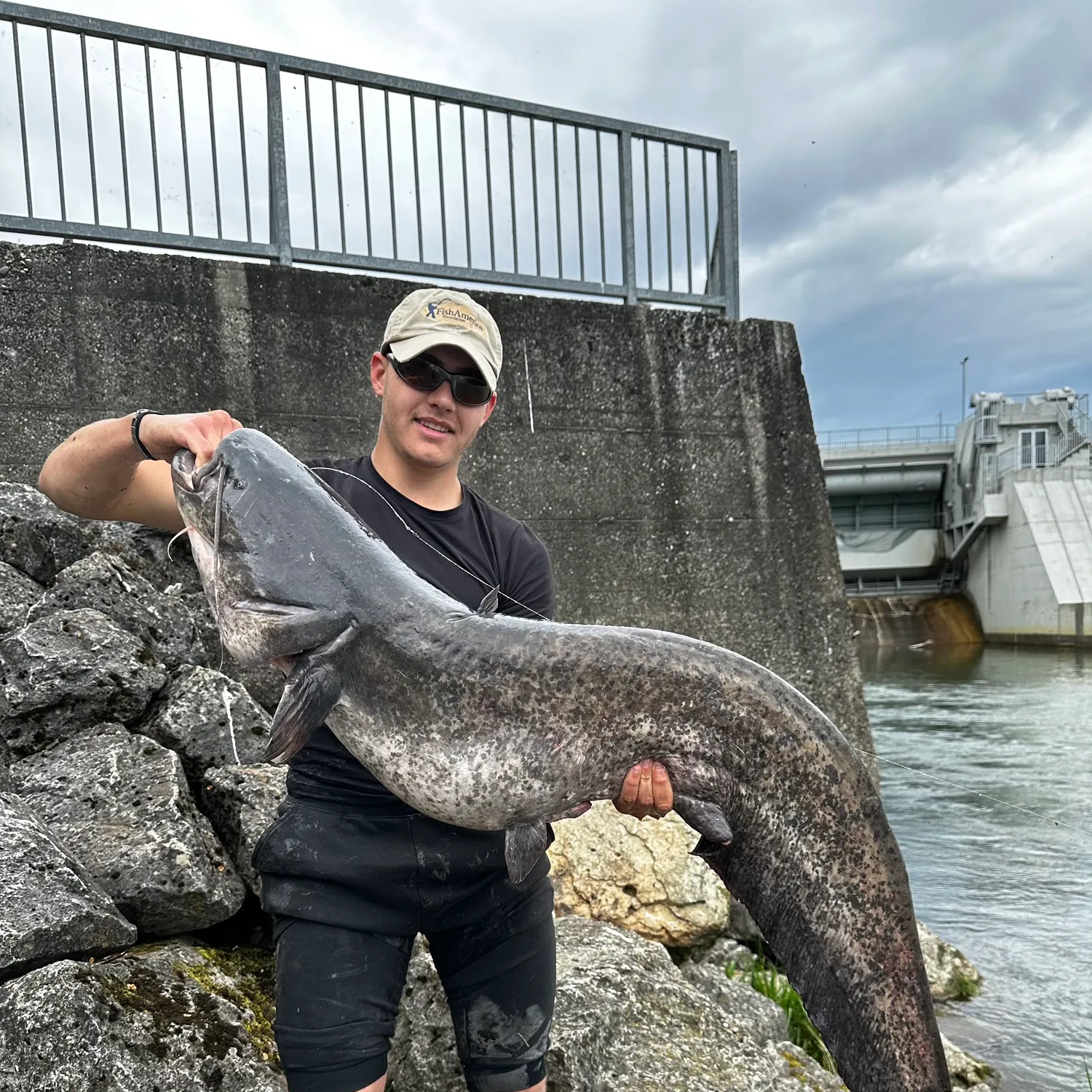 The most recent Wels catfish catches on Fishbrain