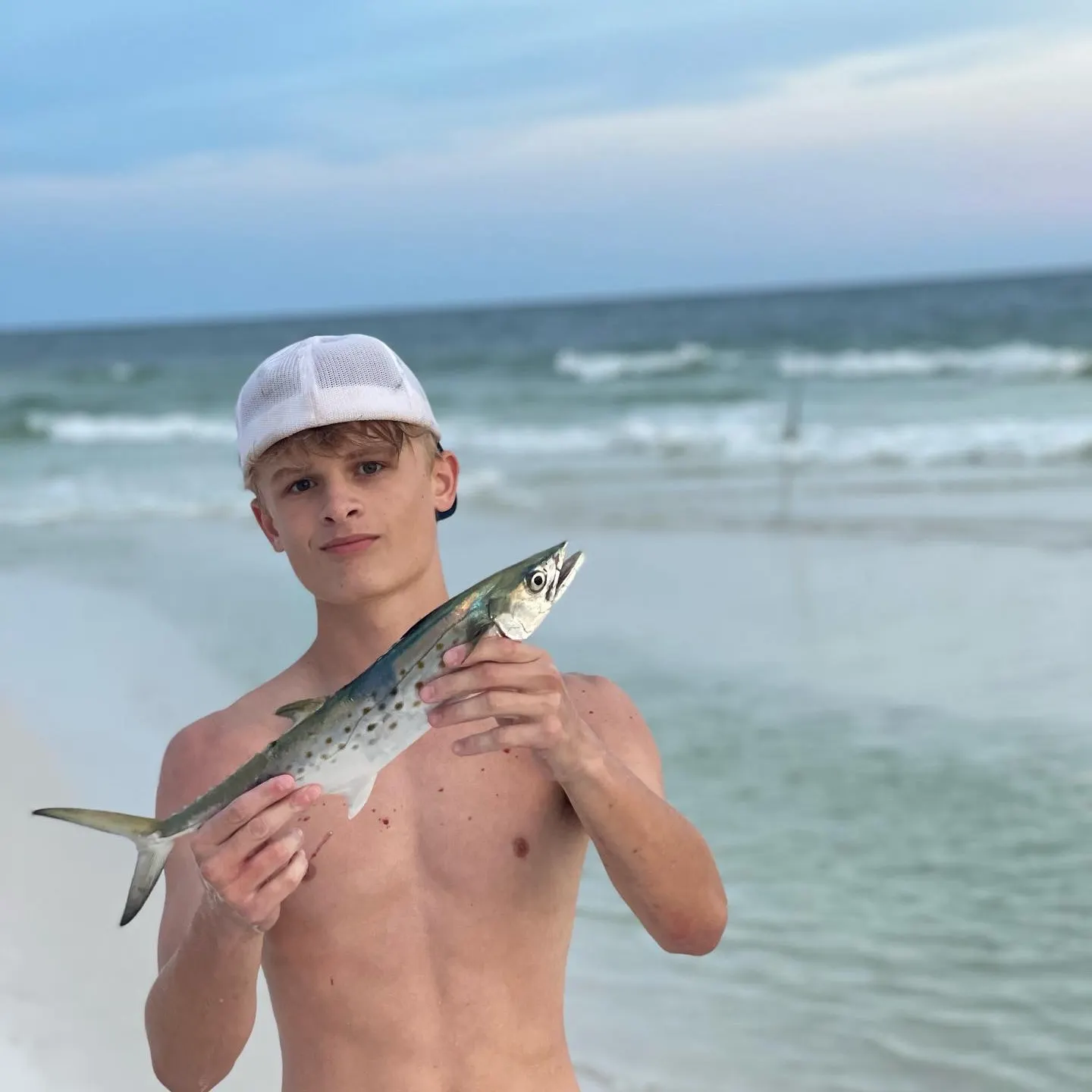 The most recent Spanish mackerel catches on Fishbrain