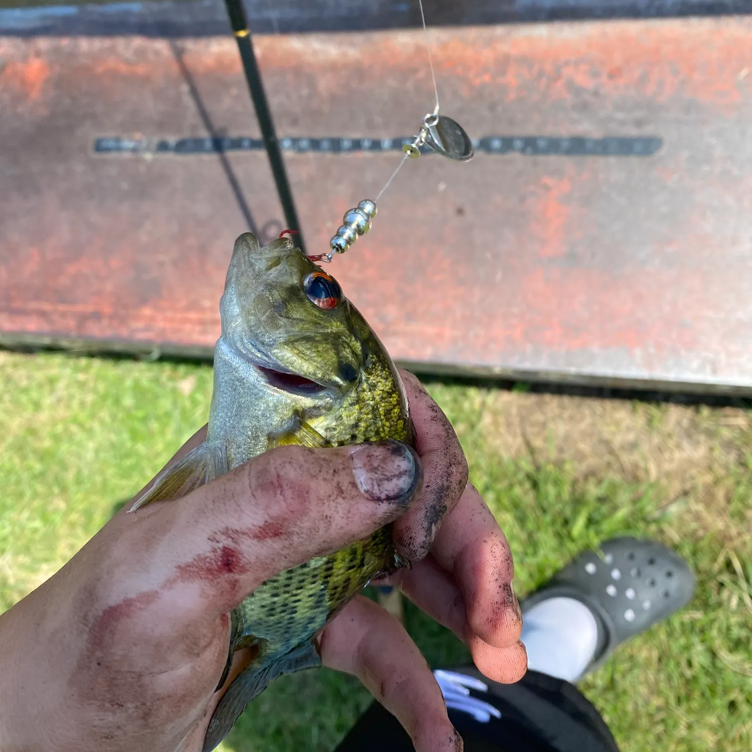 catch