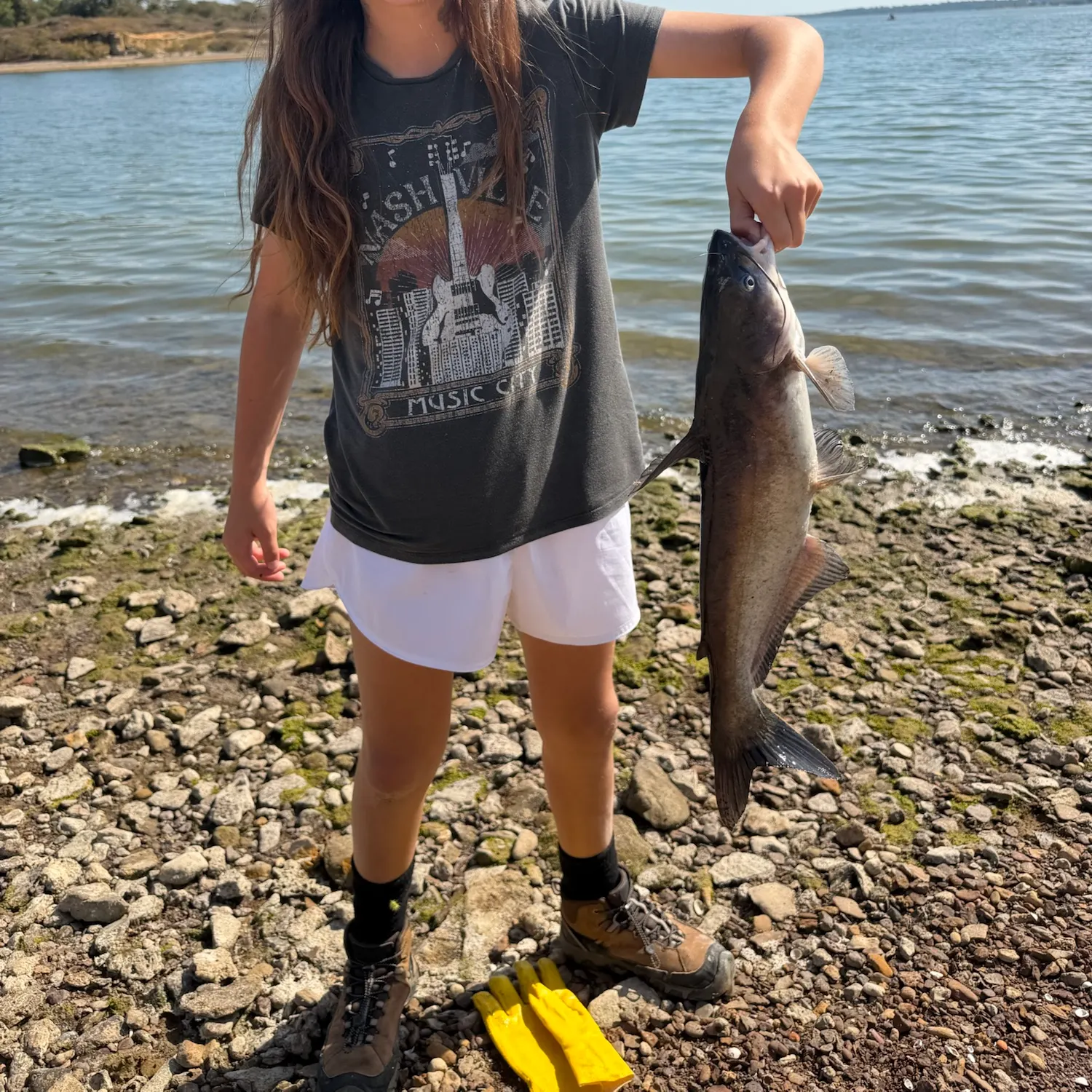 Channel catfish caught on Fishbrain