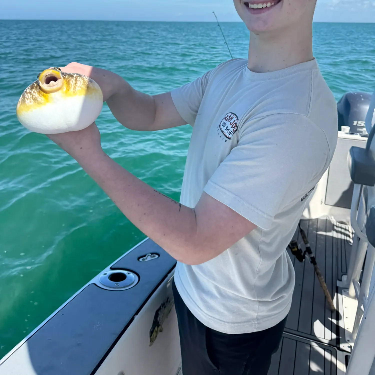 The most recent Southern puffer catches on Fishbrain