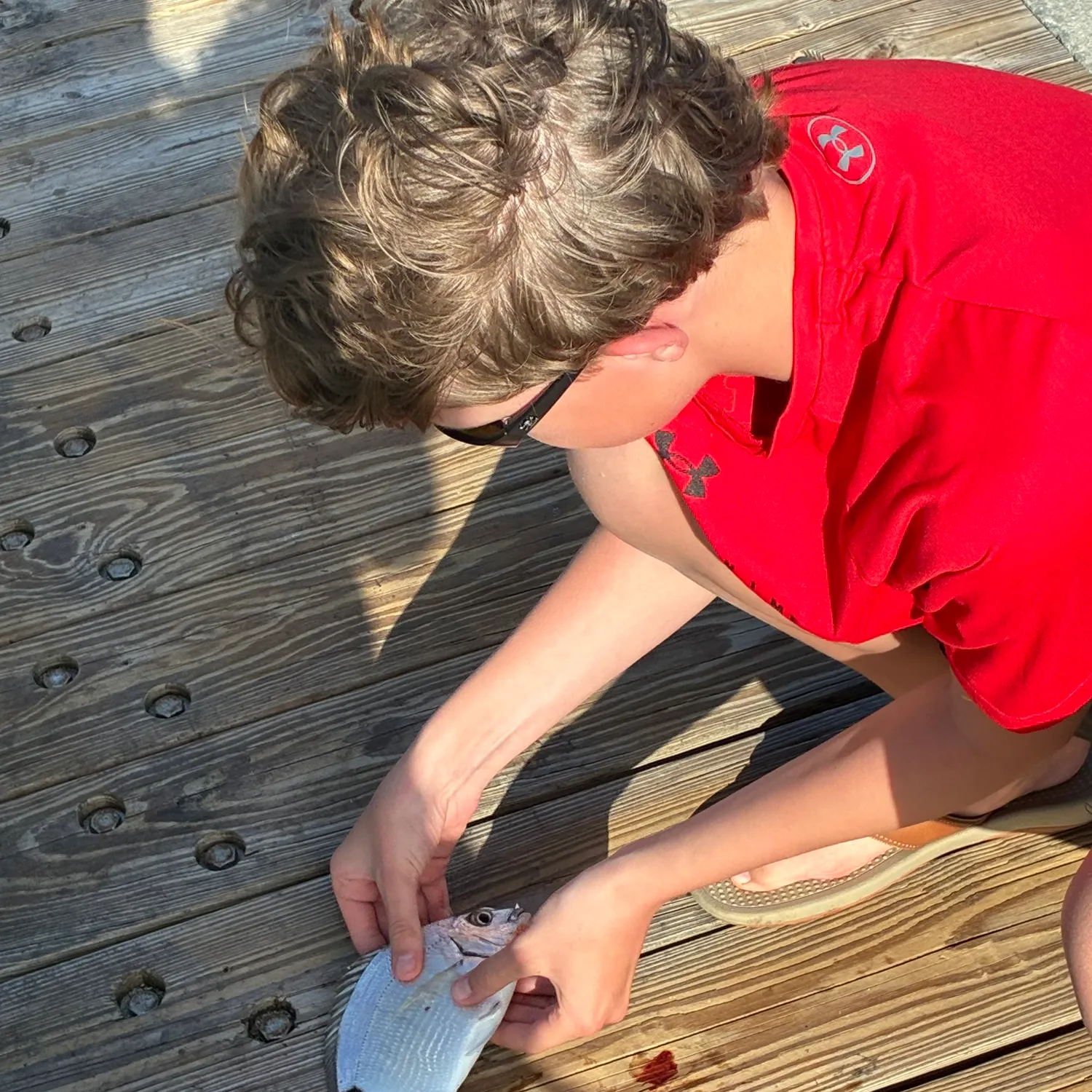 The most recent Spot croaker catches on Fishbrain