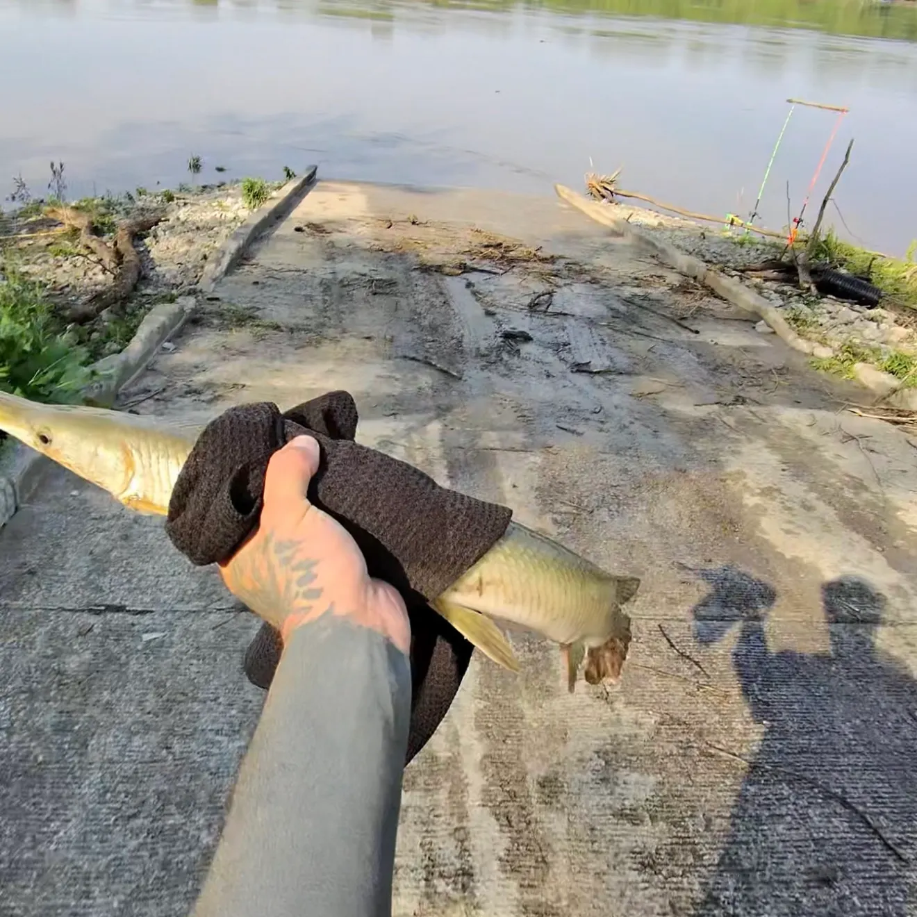 catch