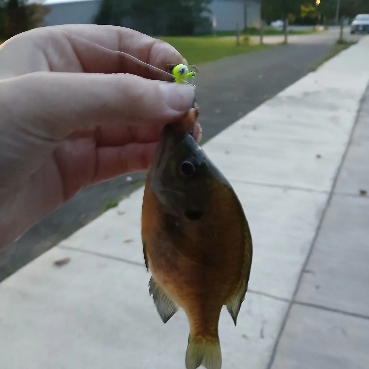catch