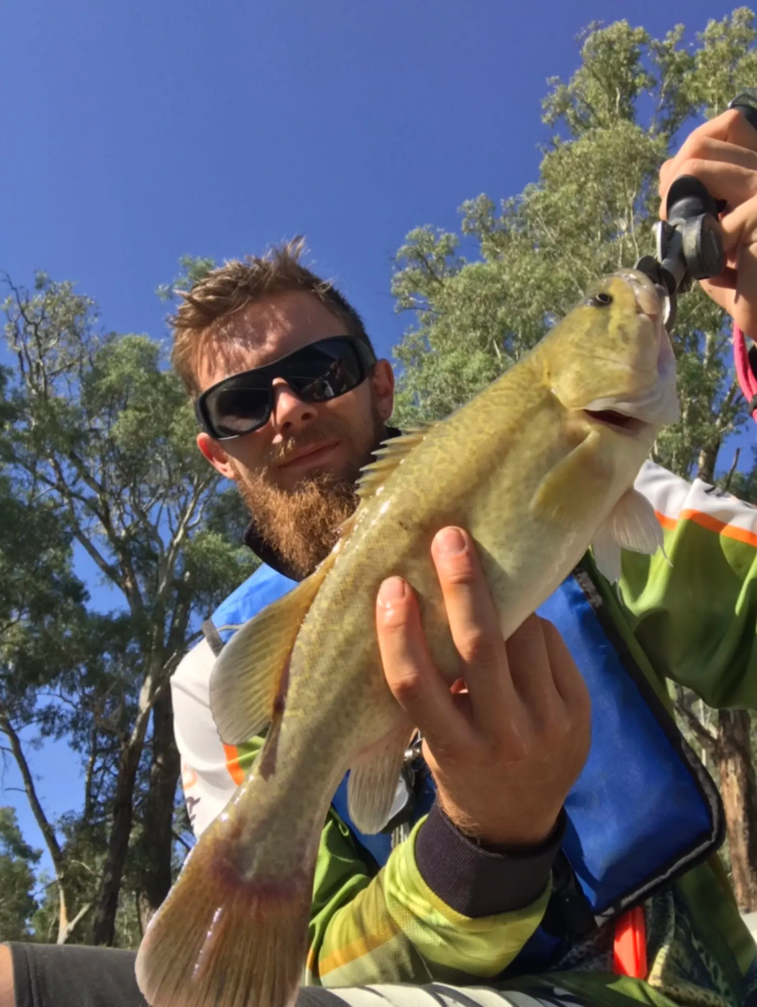 Post image from Doc-Yarrum