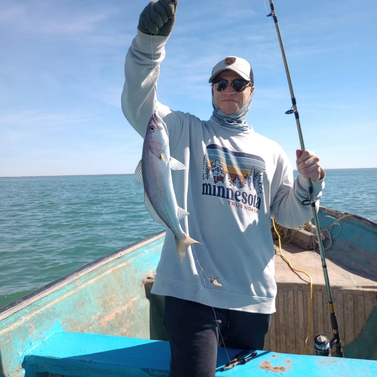 The most recent Shortfin corvina catches on Fishbrain