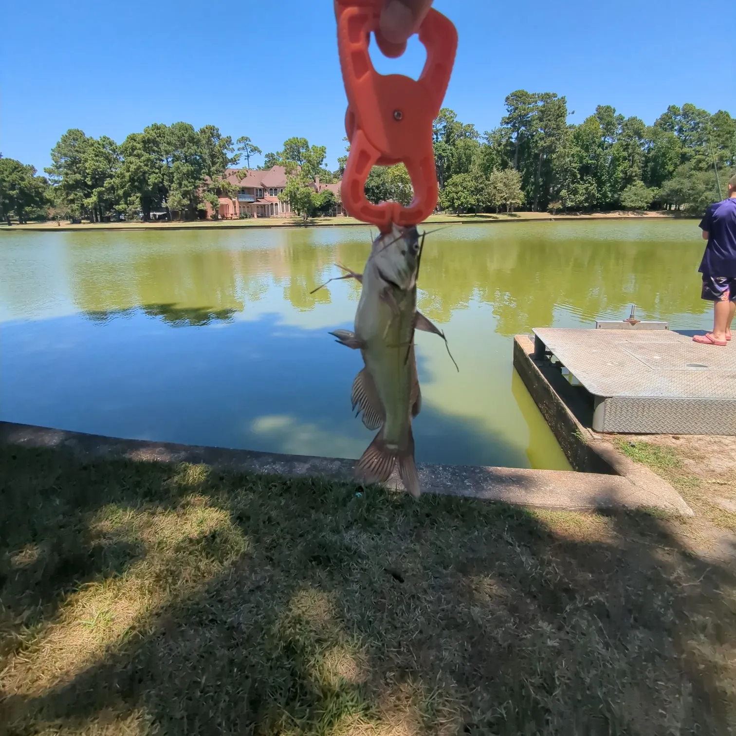 catch