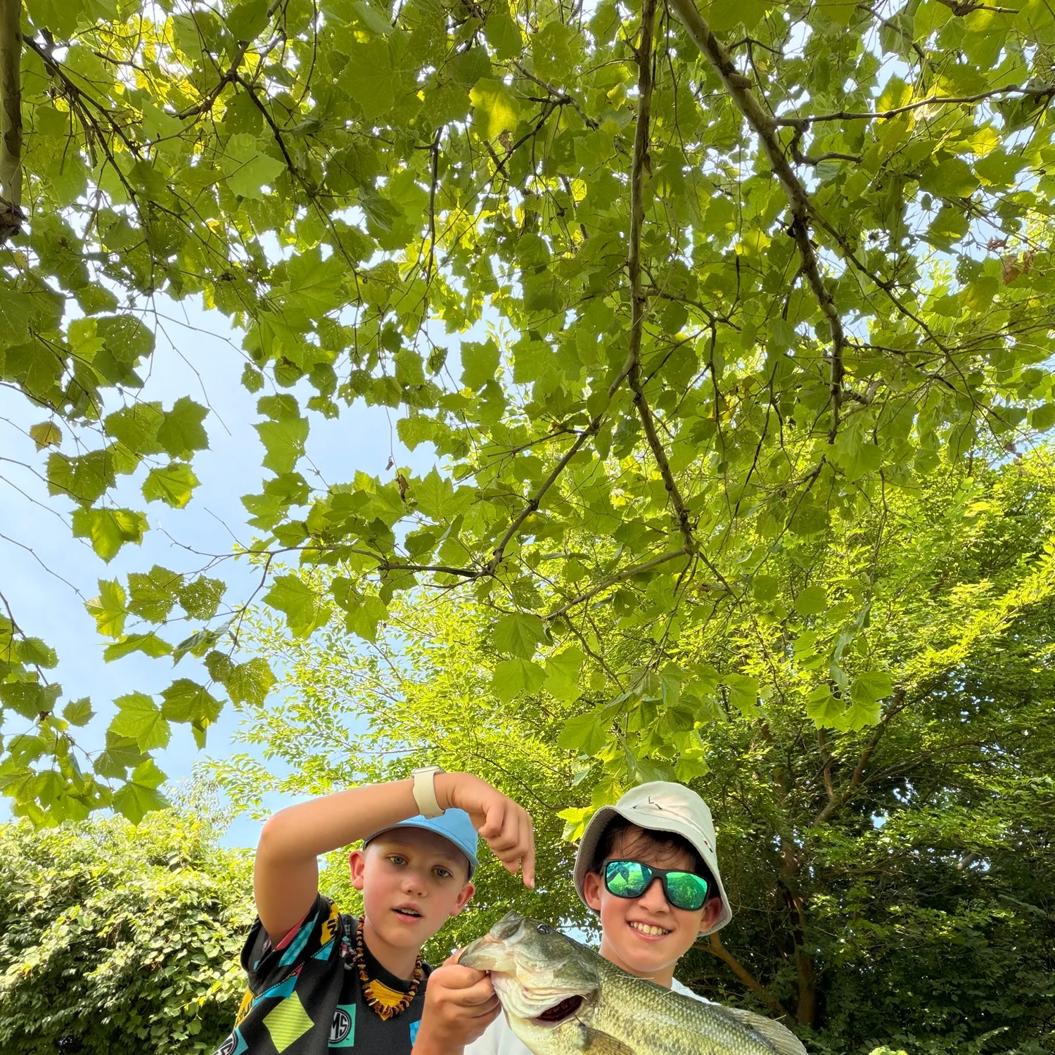 catch