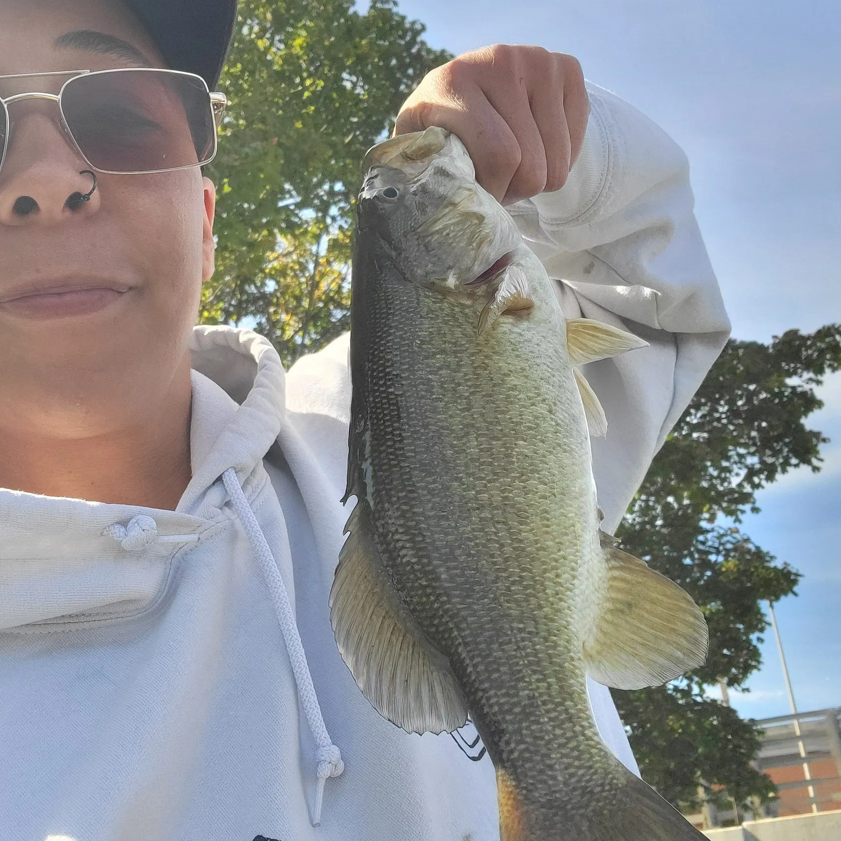 Smallmouth bass caught on Fishbrain