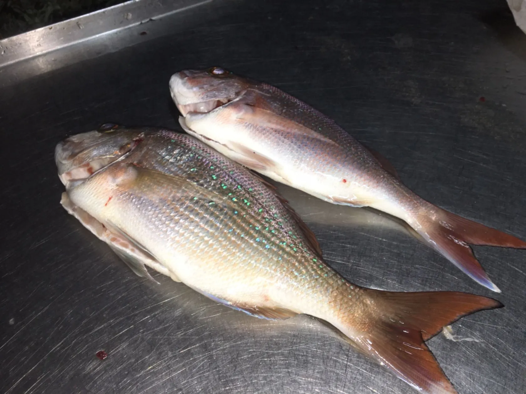 Post image from JUANNI