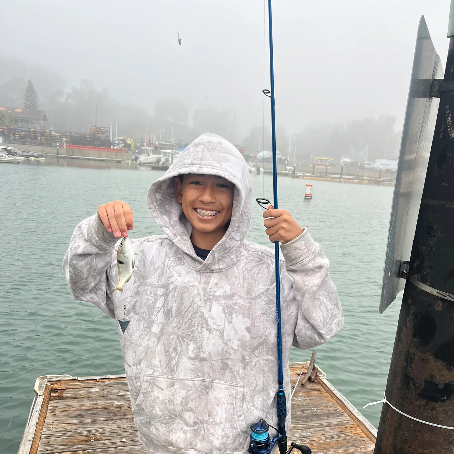 The most recent Bonnethead shark catches on Fishbrain