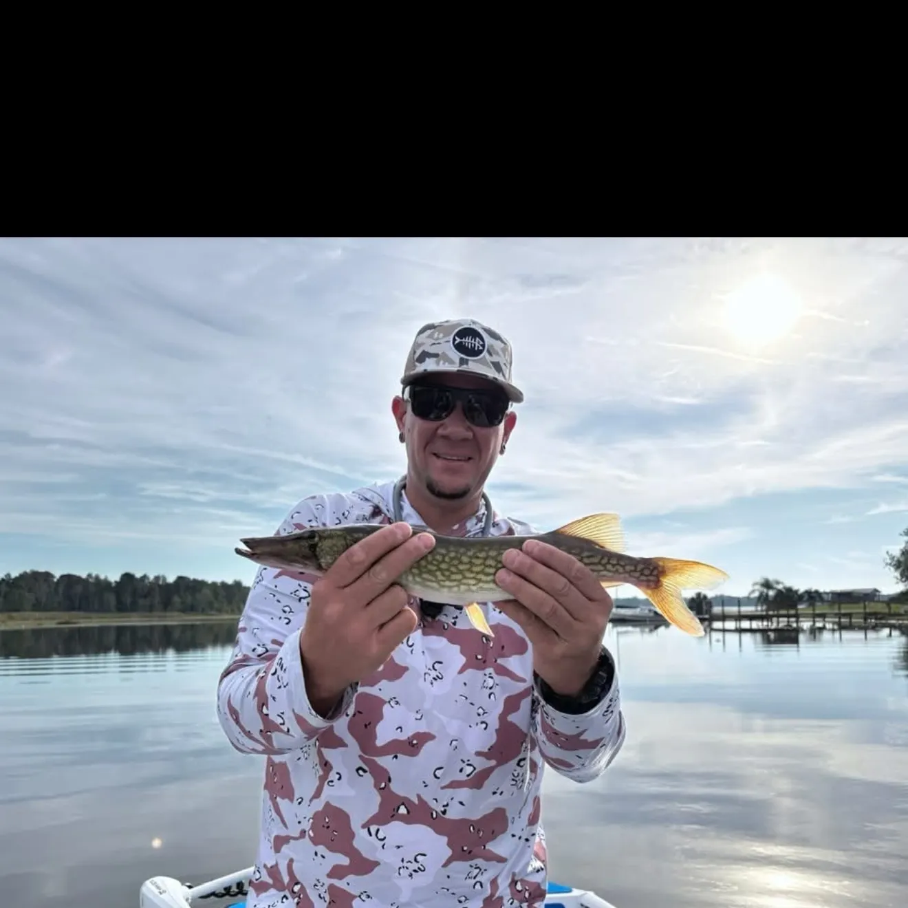 The most recent Chain pickerel catches on Fishbrain