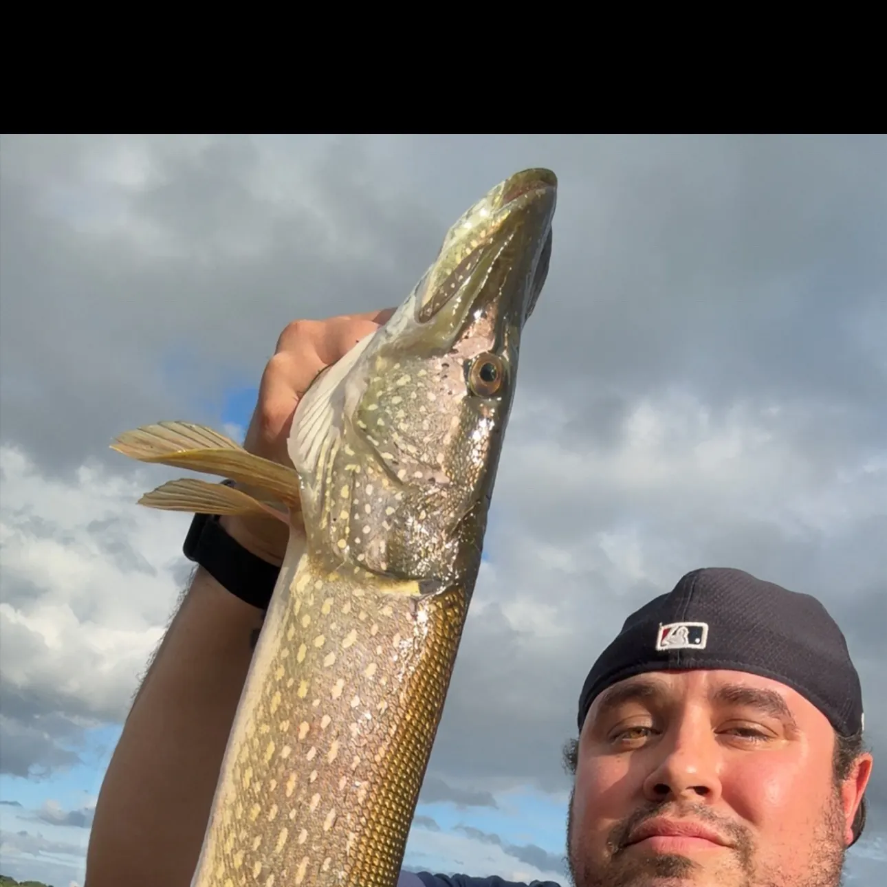 Northern pike caught on Fishbrain