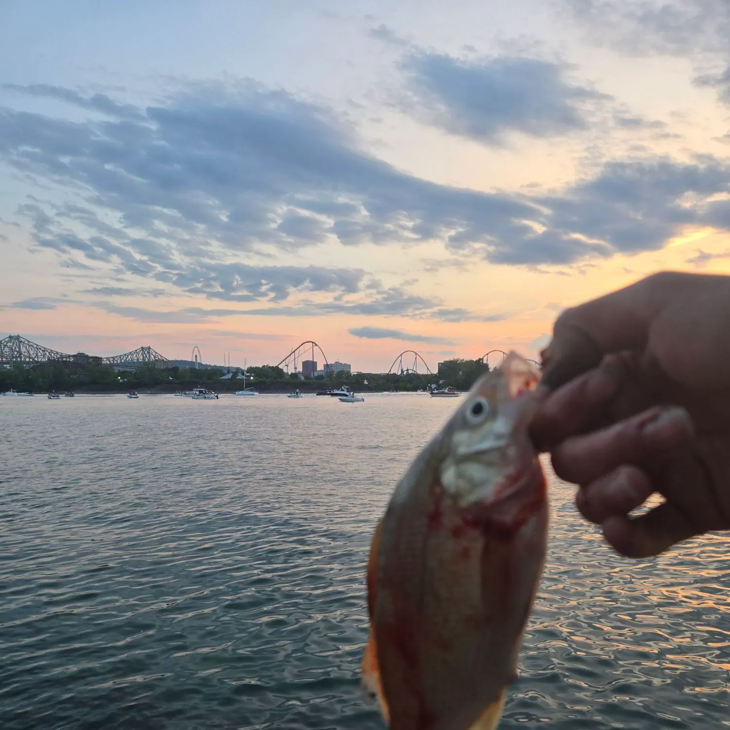 catch