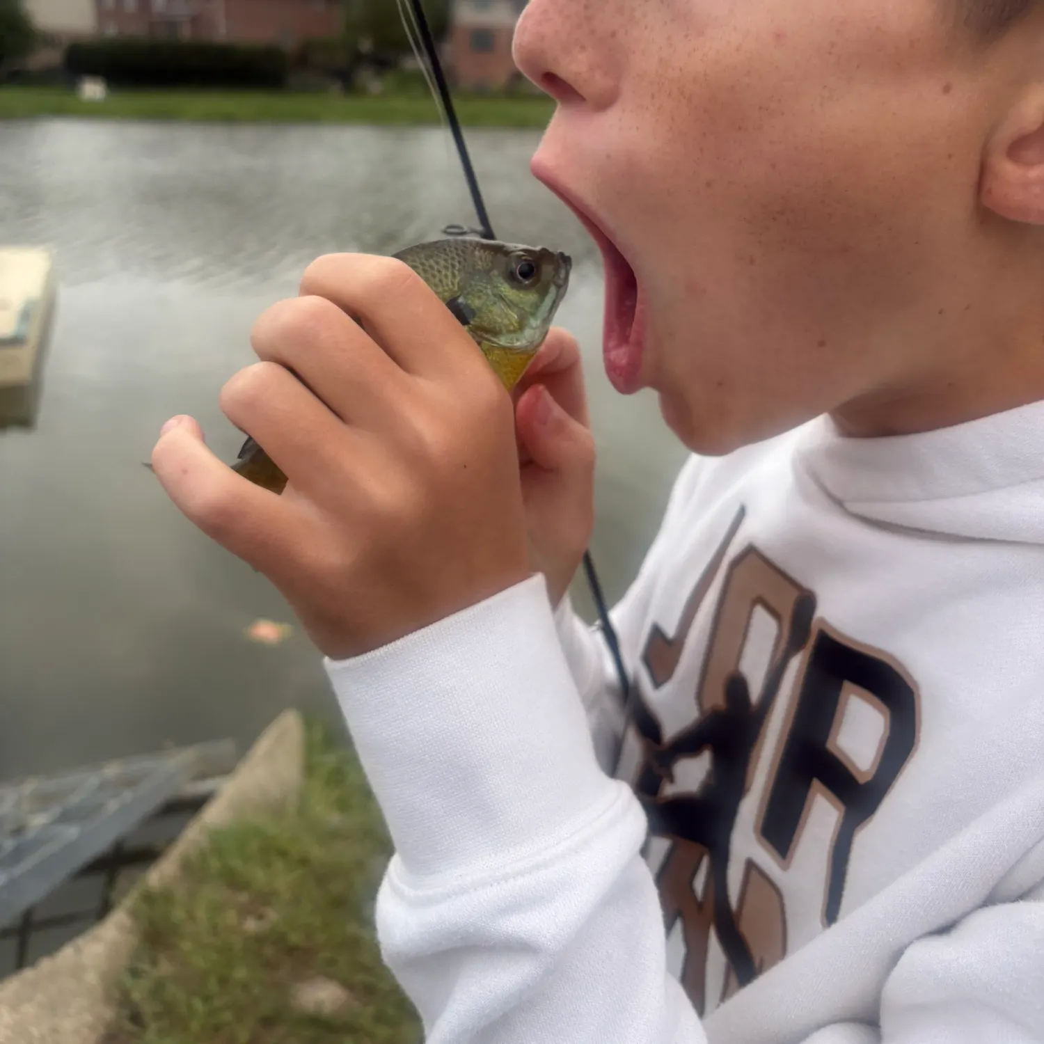 Fish caught on Fishbrain