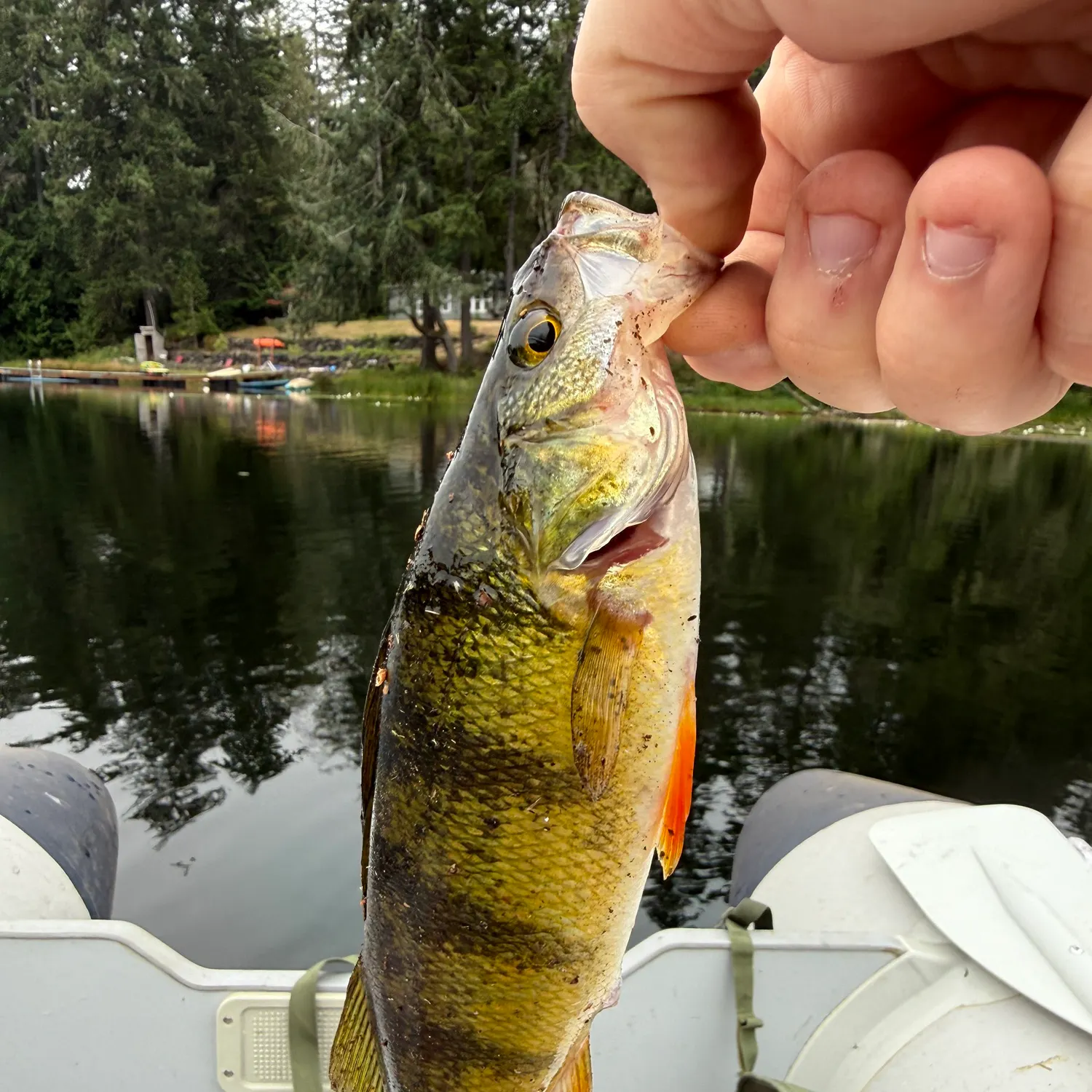 catch