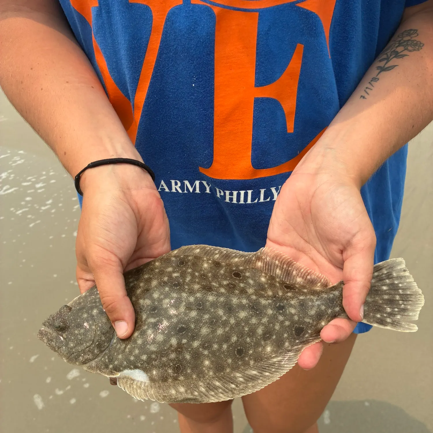 recently logged catches