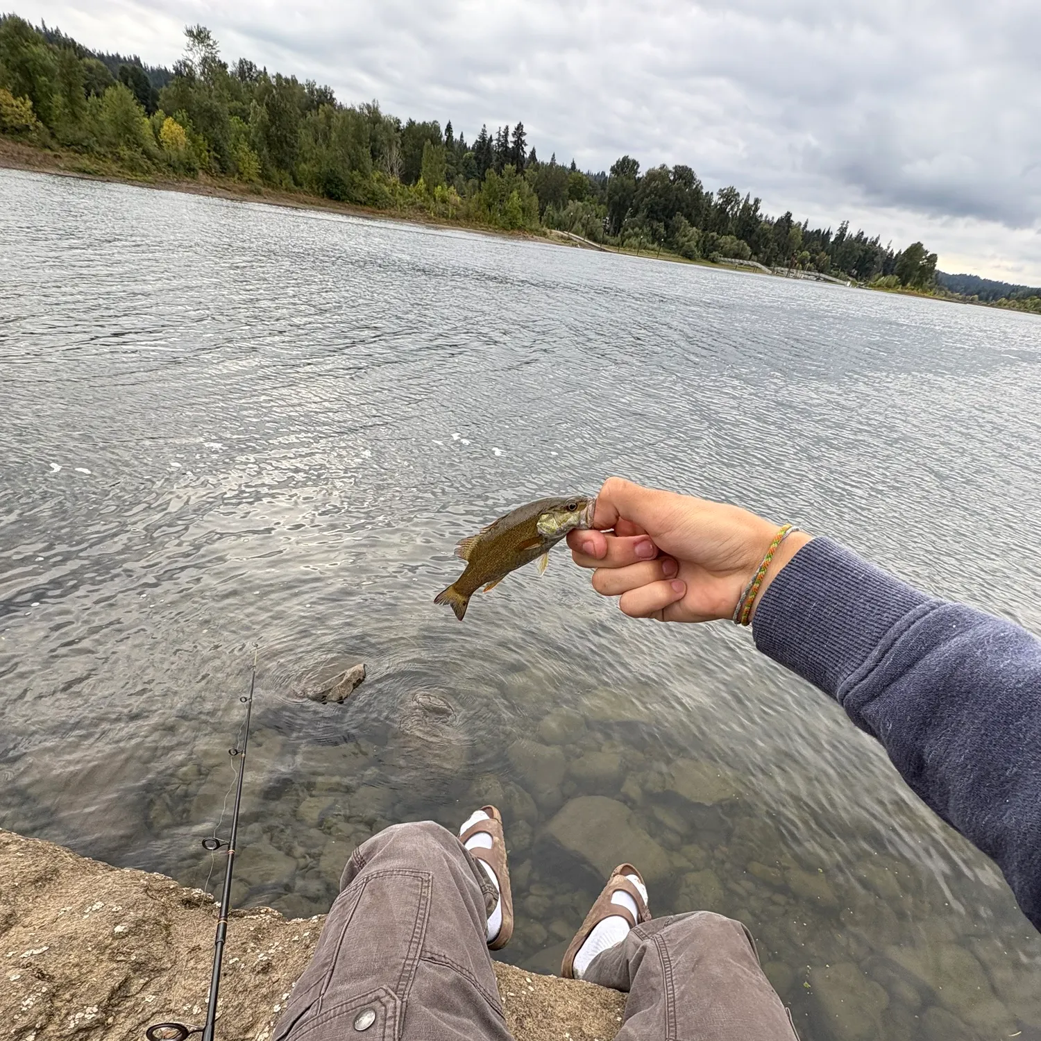 Smallmouth bass caught on Fishbrain