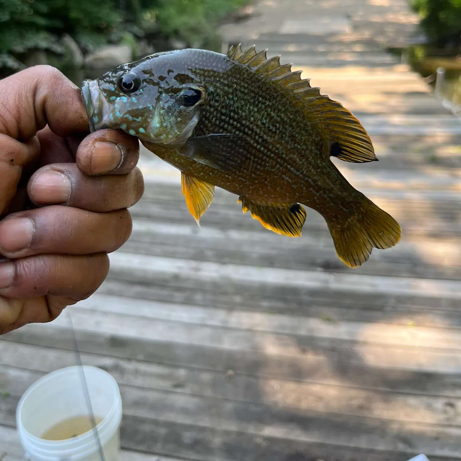catch