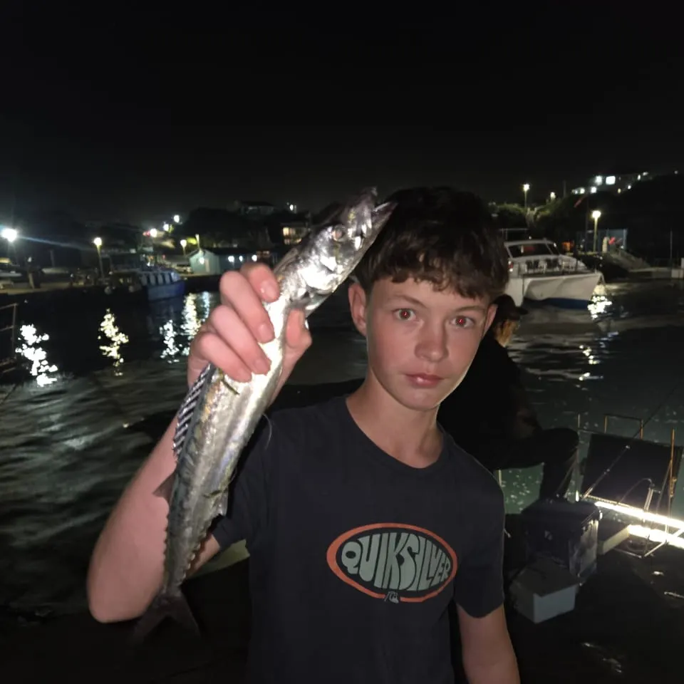 The most recent Snoek catches on Fishbrain