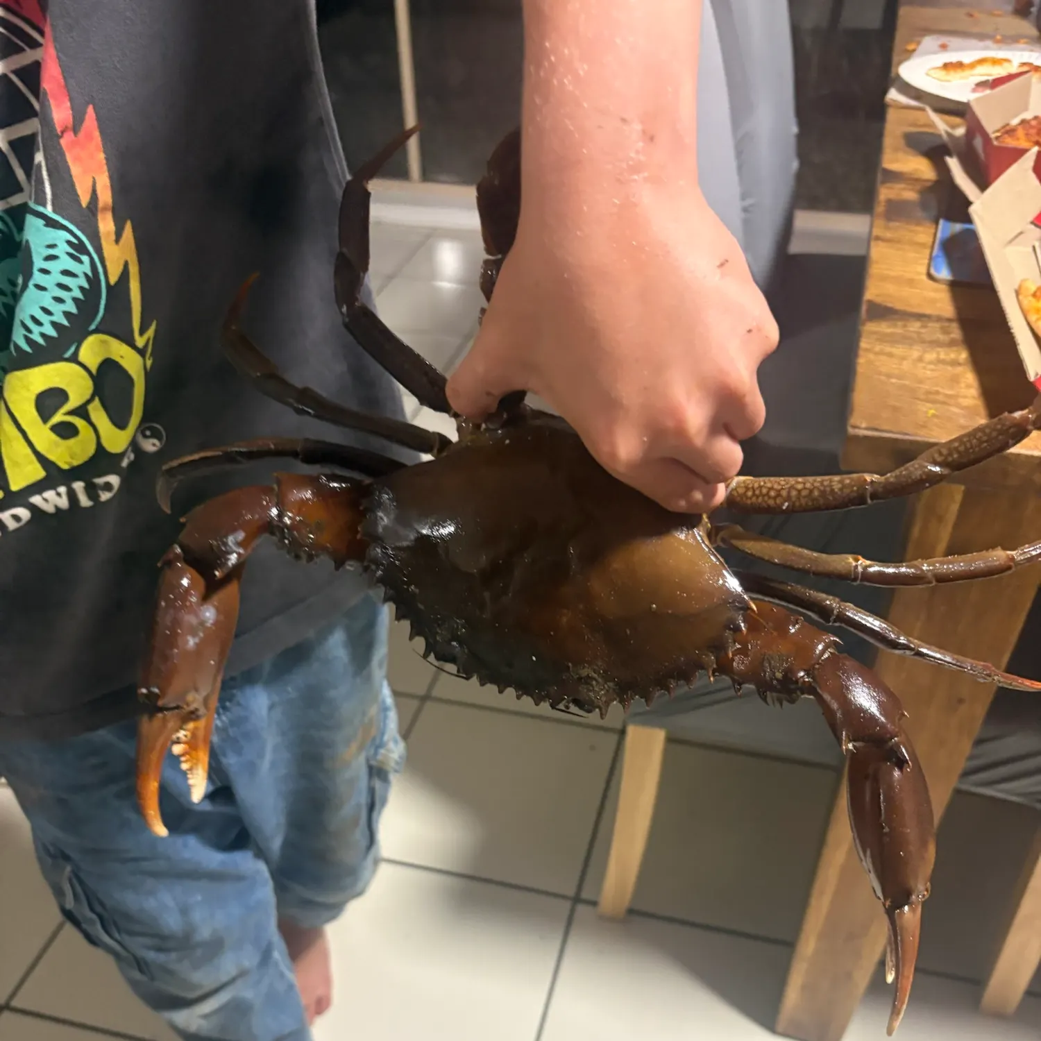 The most recent Giant mud crab catches on Fishbrain