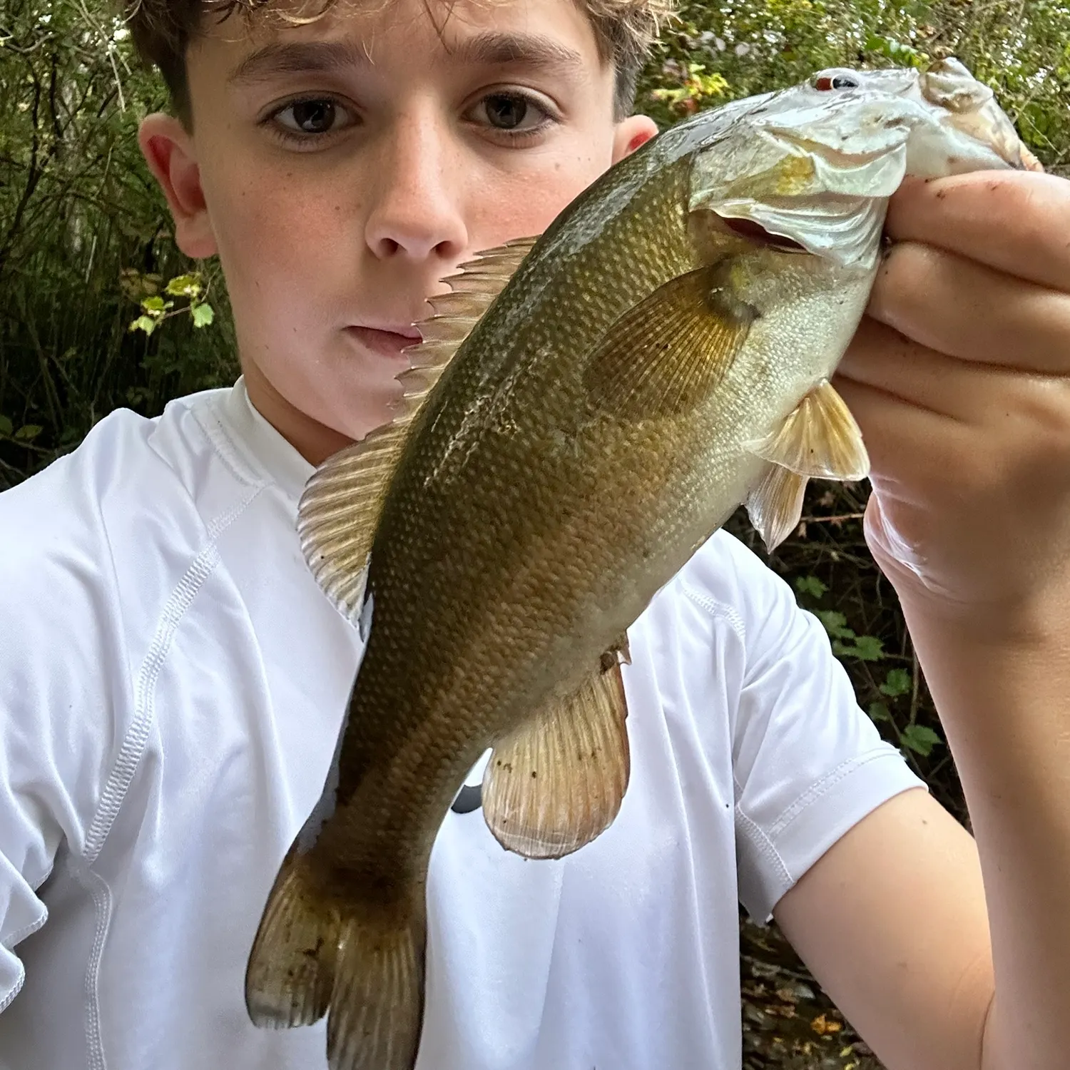 Smallmouth bass caught on Fishbrain