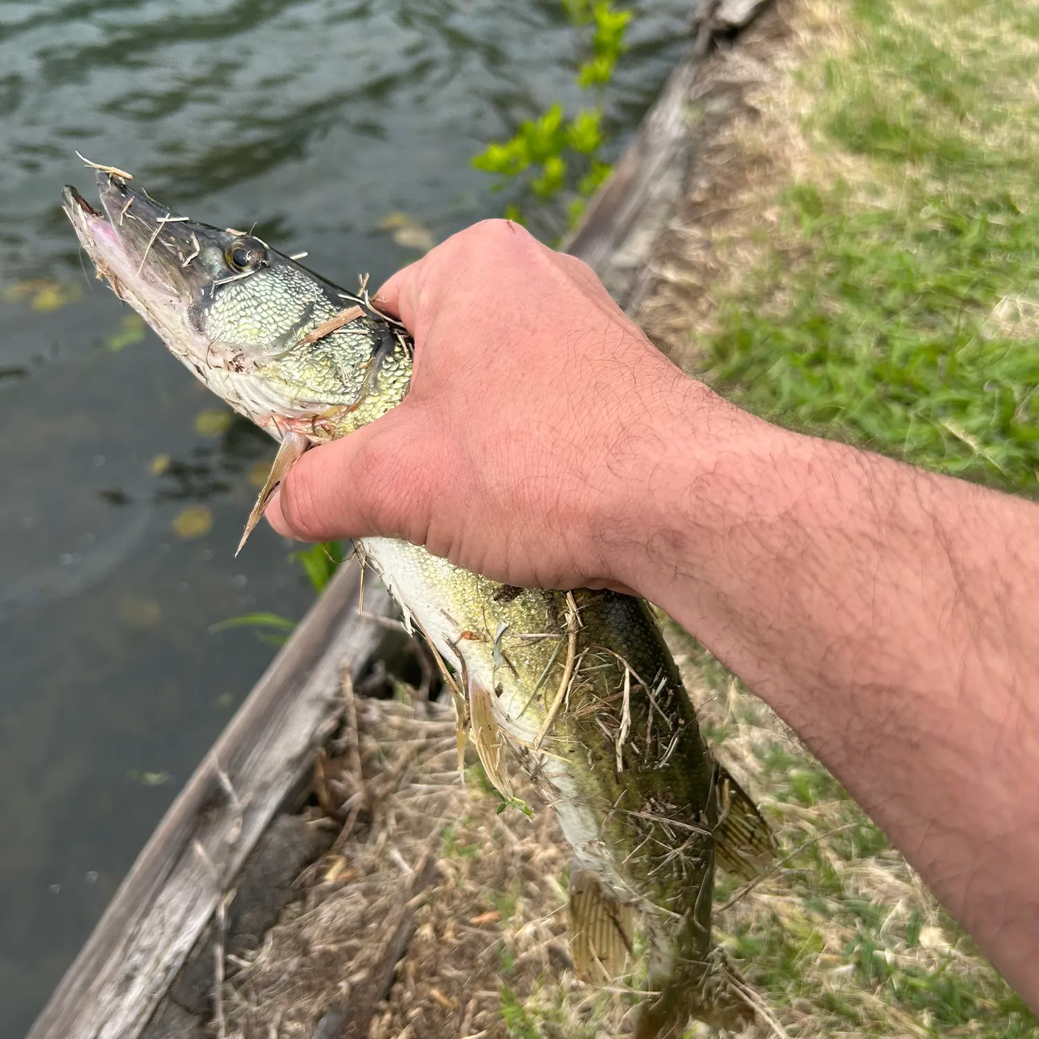 catch