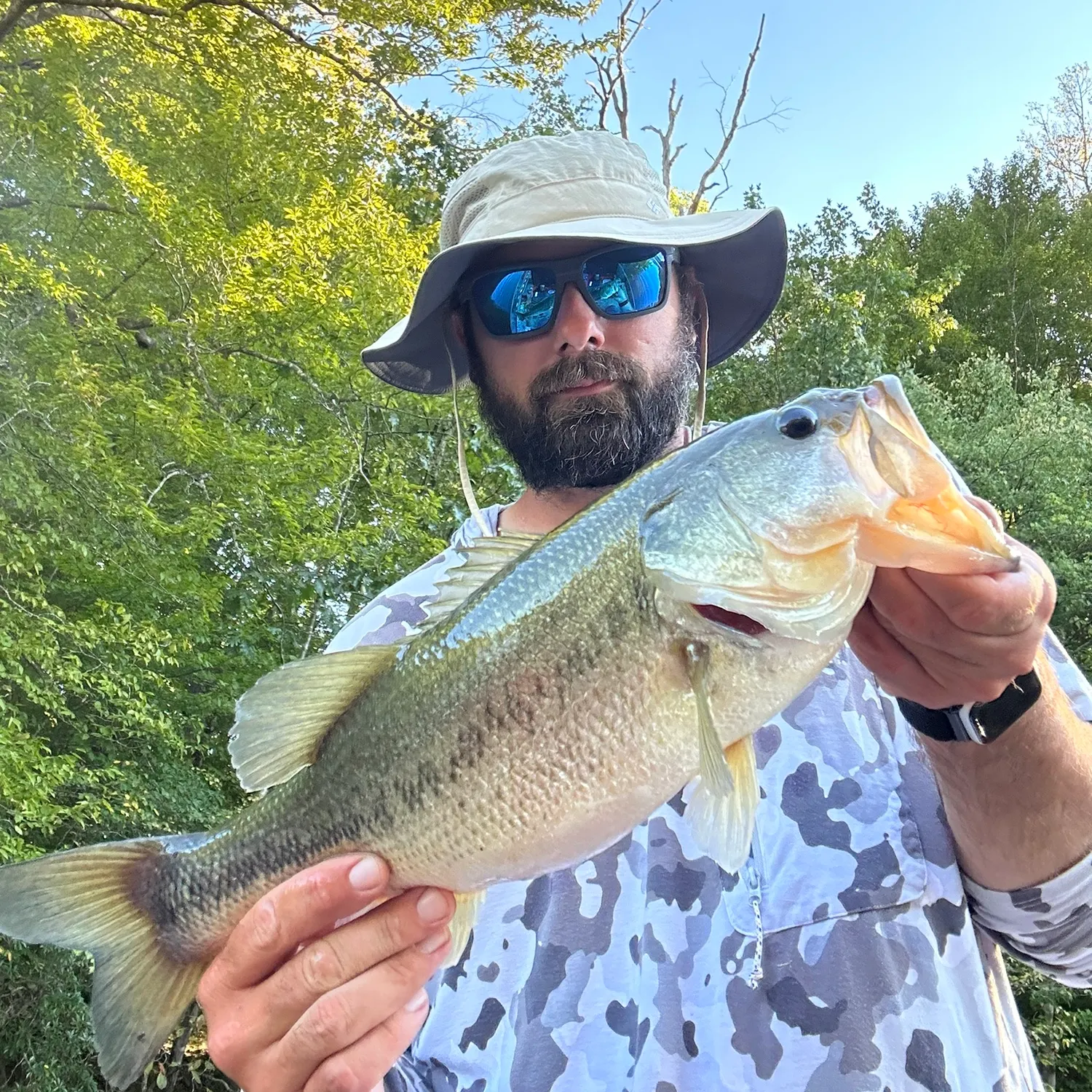 Largemouth bass caught on Fishbrain