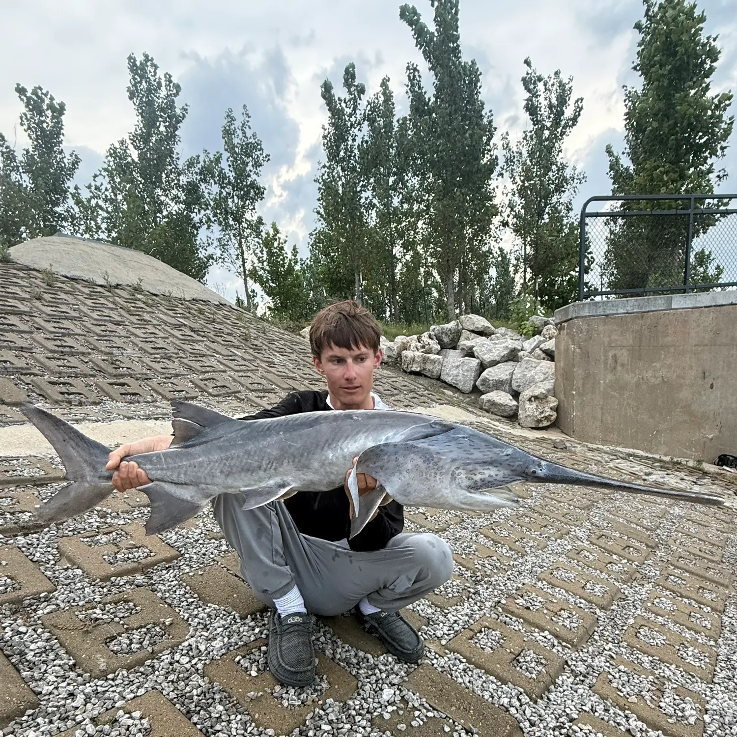 The most recent Paddlefish catches on Fishbrain