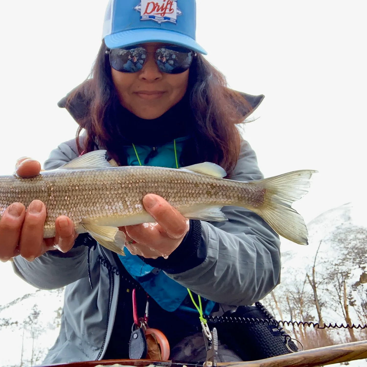 The most popular recent Mountain whitefish catch on Fishbrain