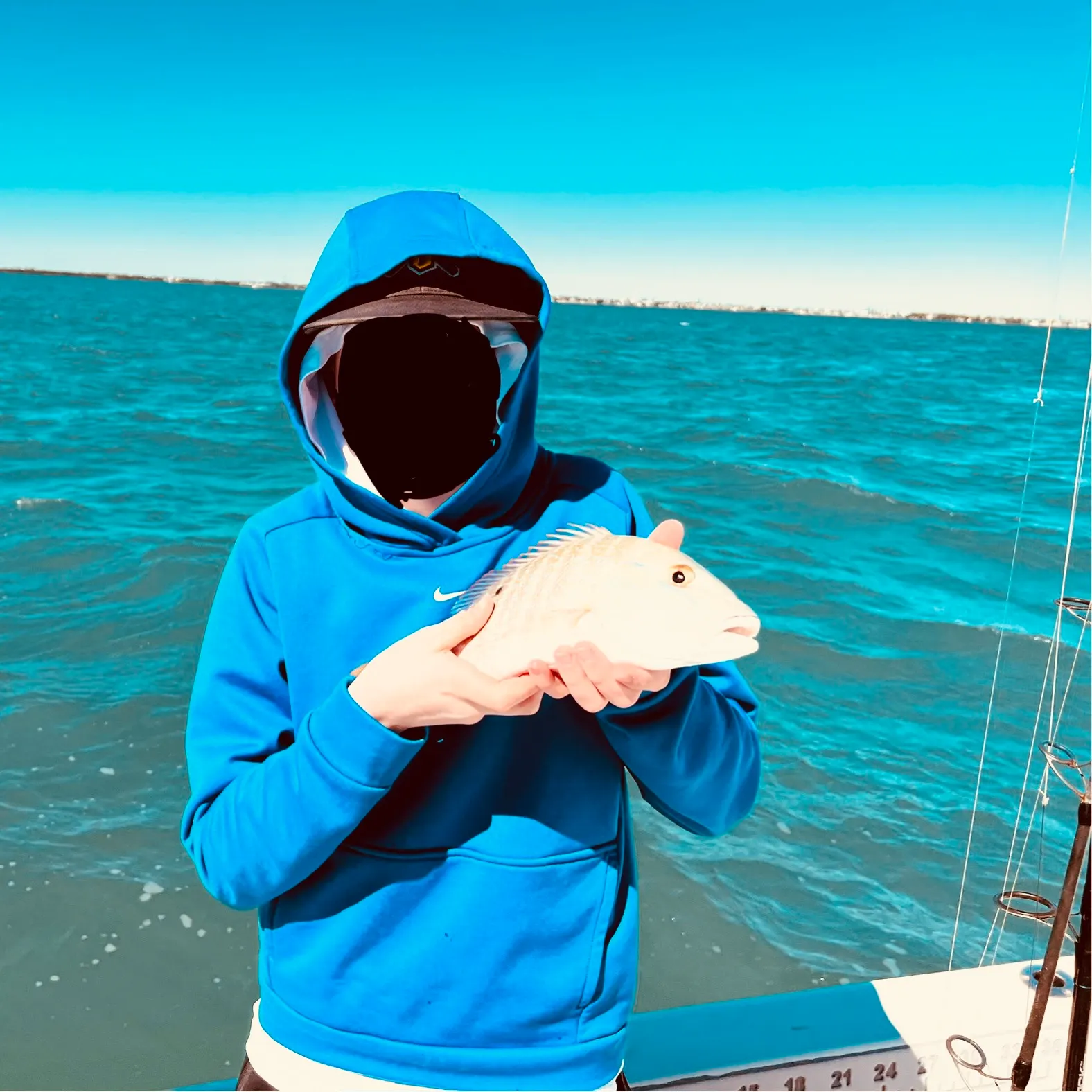 The most recent Common snook catches on Fishbrain